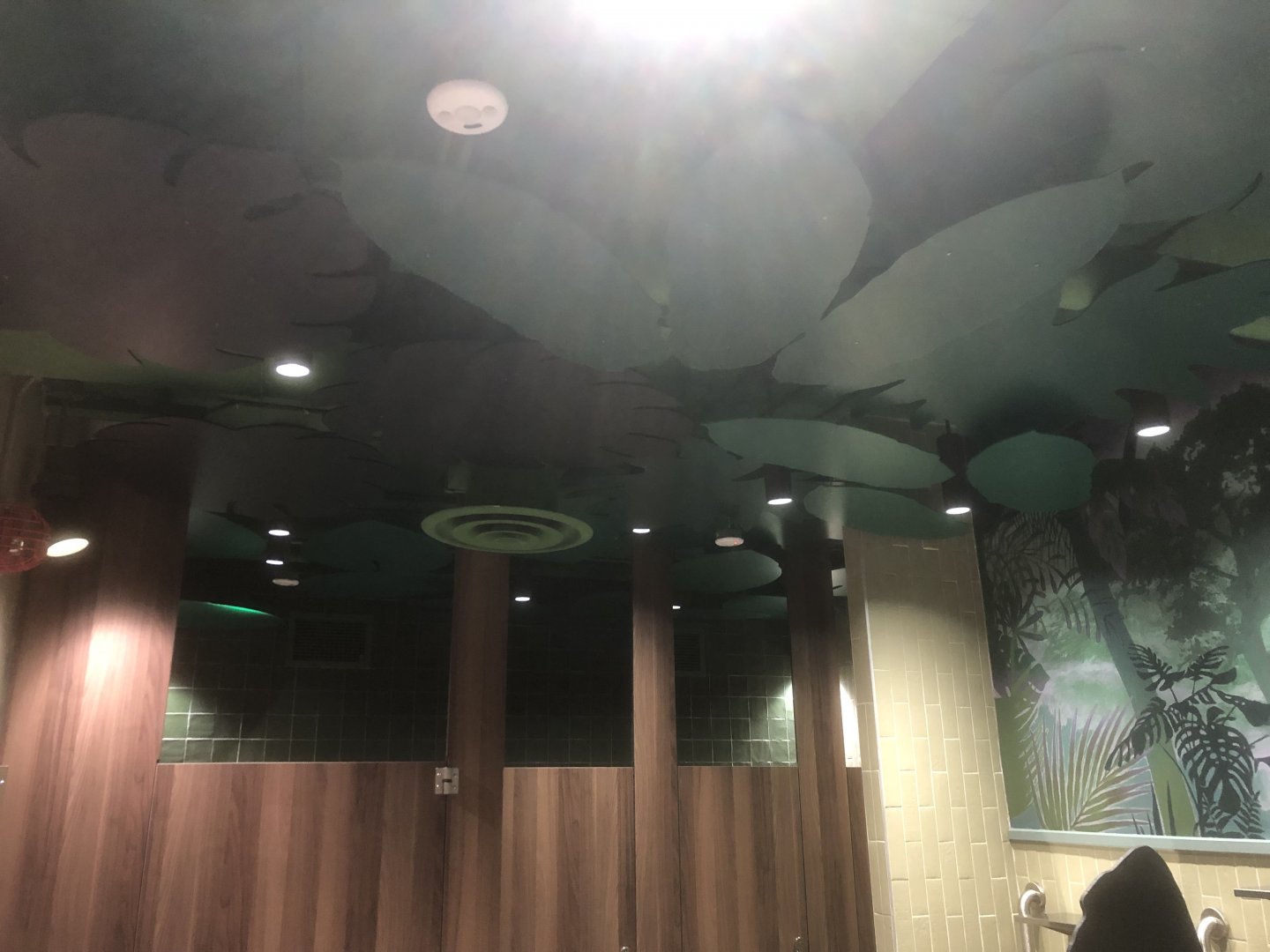 New Africa restrooms (male)