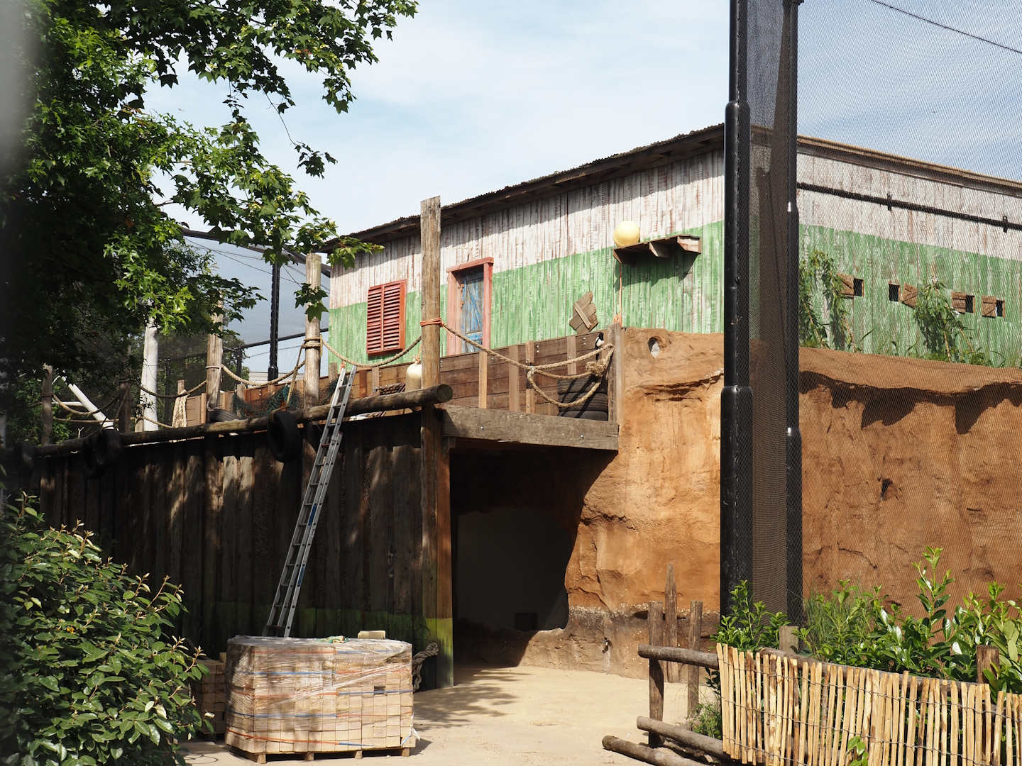 New African bird house, opening in July, 2024-06-29