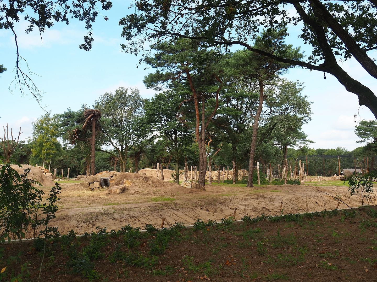 New African bush elephant valley, 2023-08-15