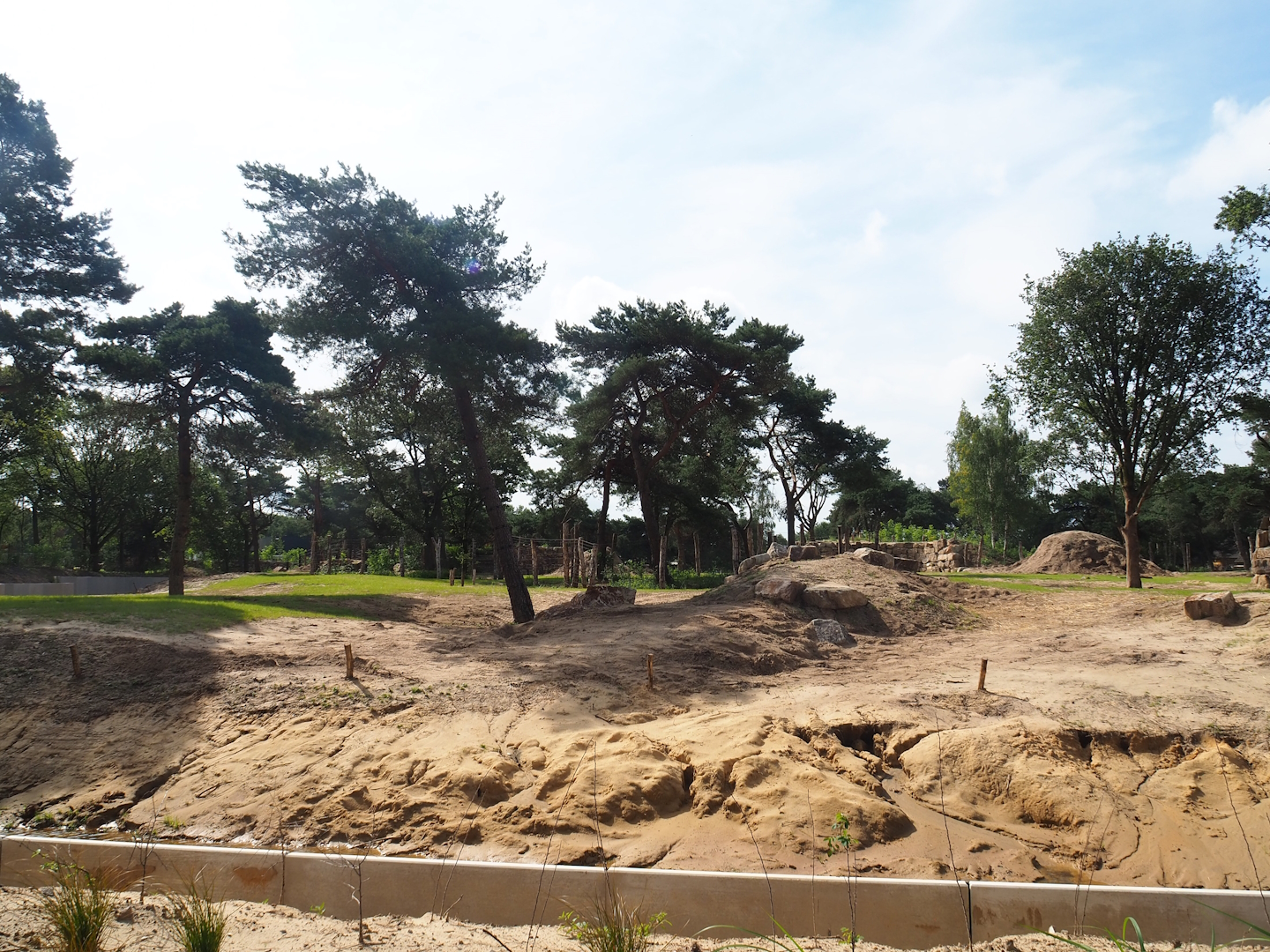 New African bush elephant valley, 2023-08-15