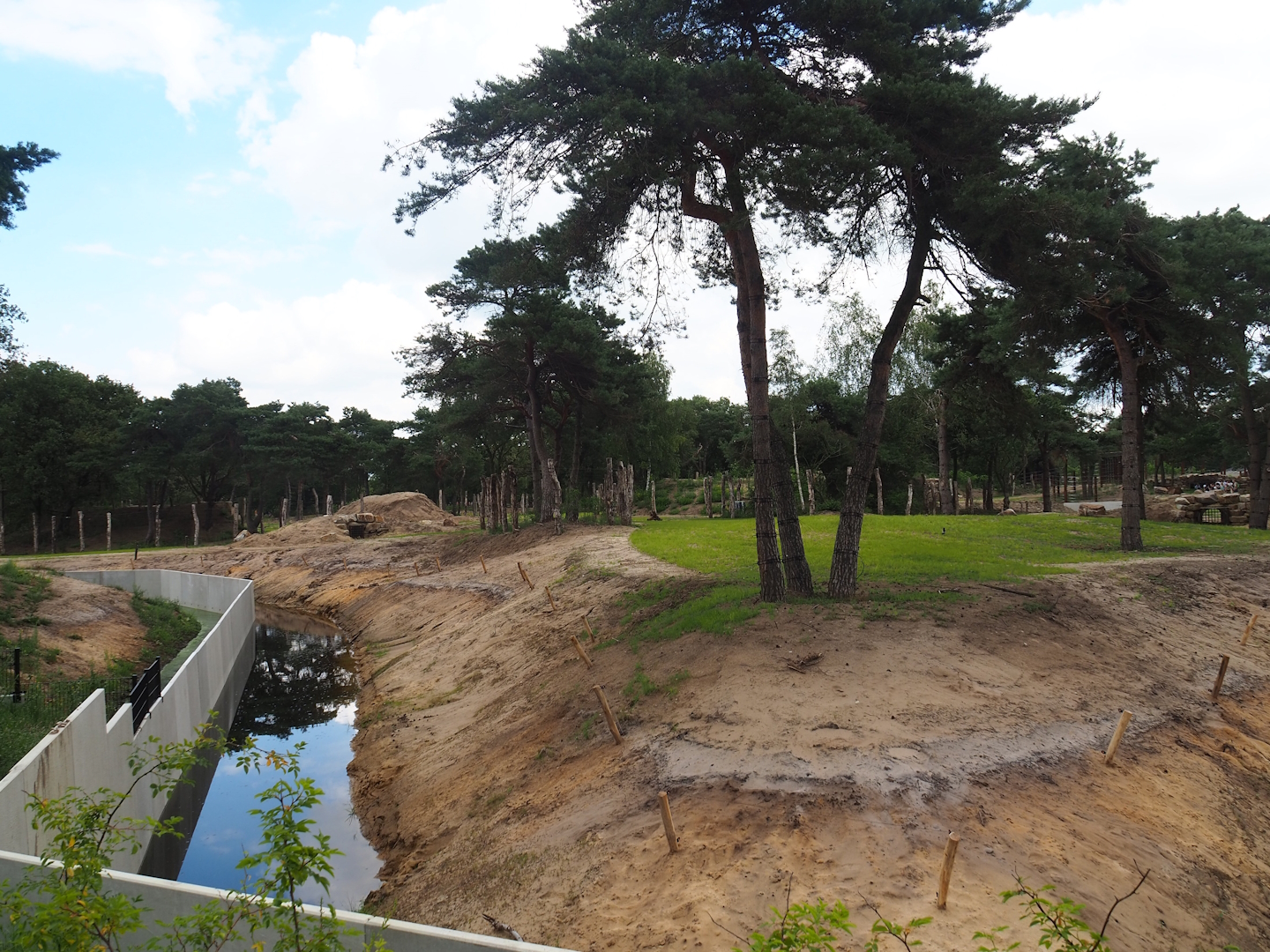 New African bush elephant valley, 2023-08-15