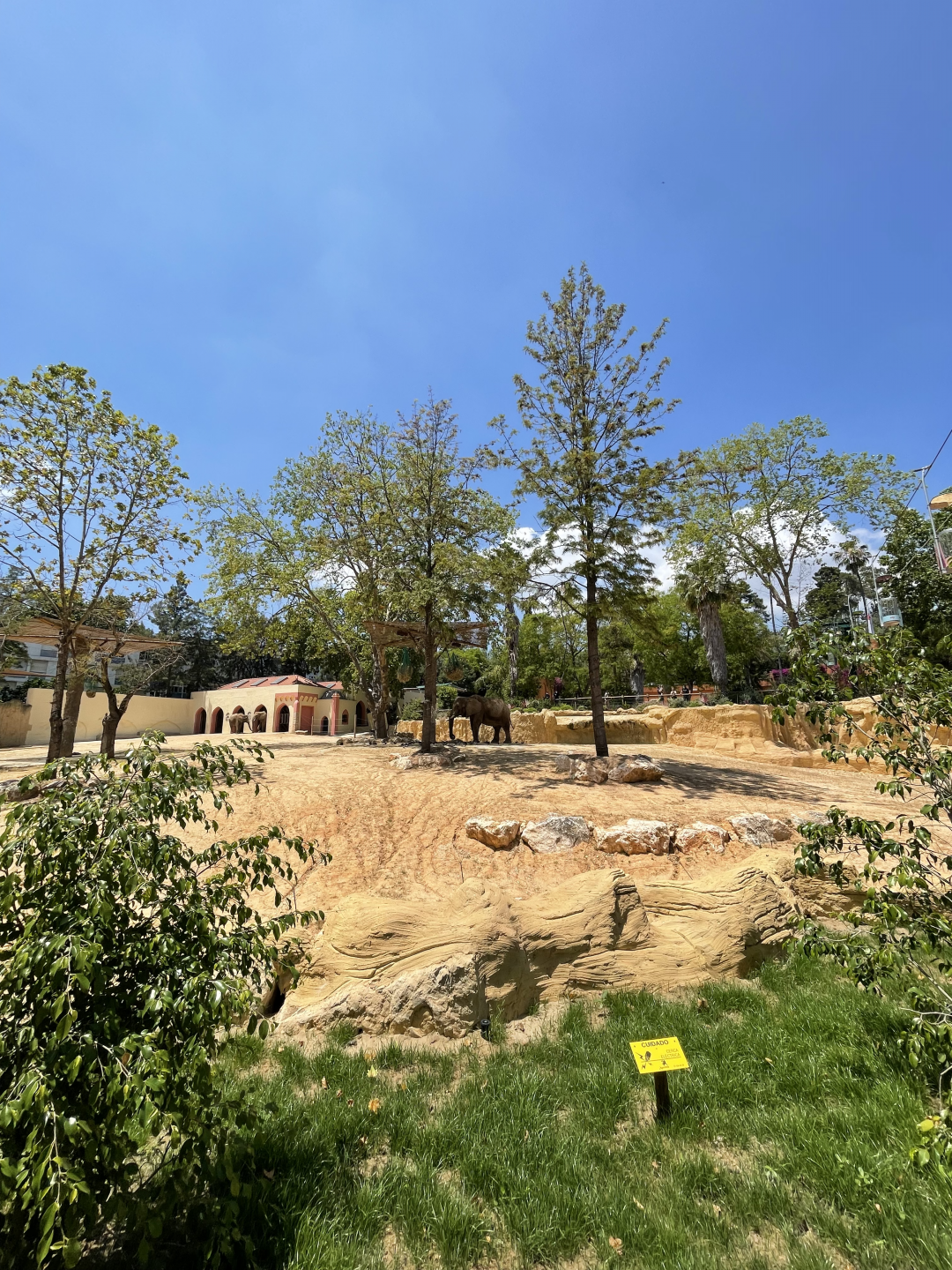 New African Elephant Exhibit