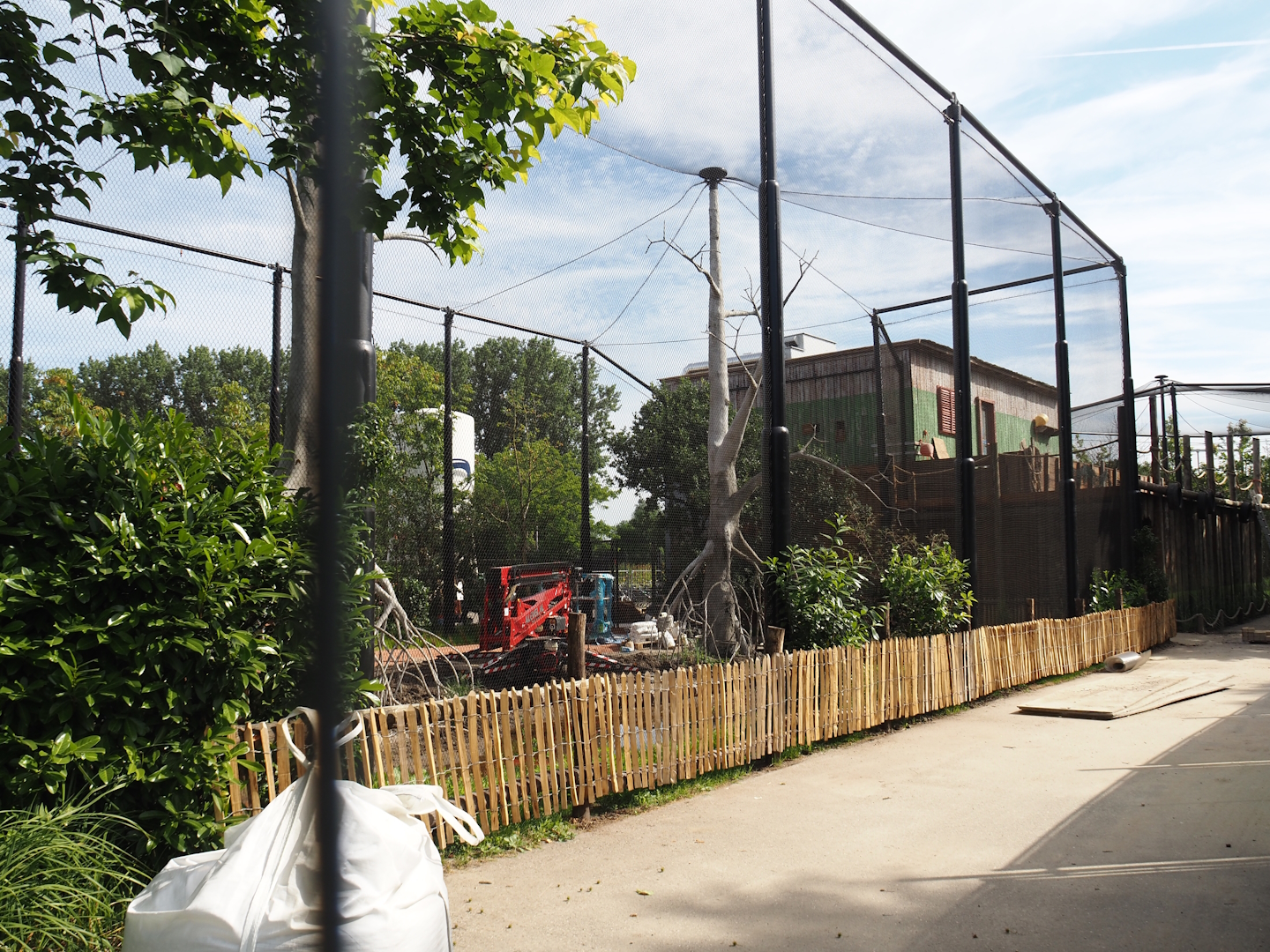 New African mangrove aviary, opening in July, 2024-06-29