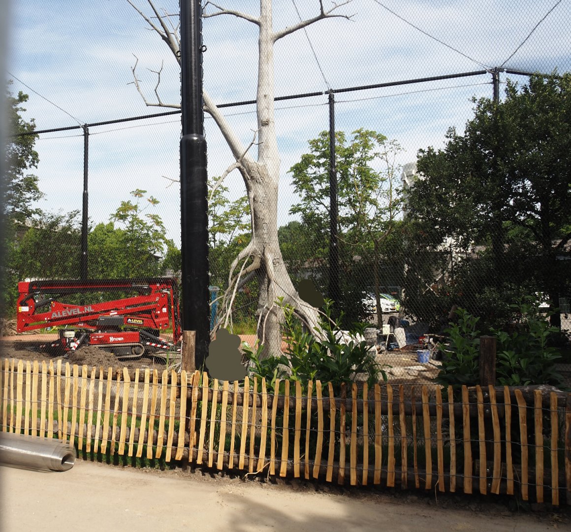 New African mangrove aviary, opening in July, 2024-06-29