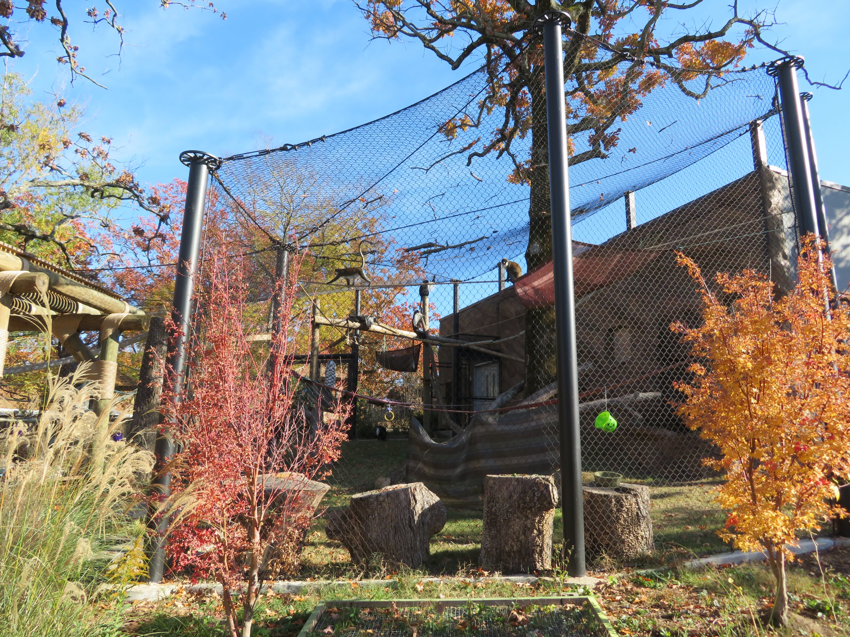 New African Monkey Exhibit