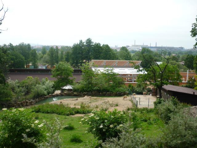 New African Pavillion (background)
