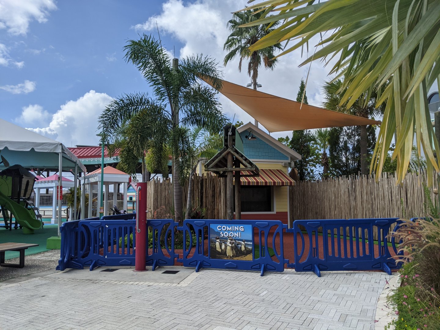 New African penguin habitat construction