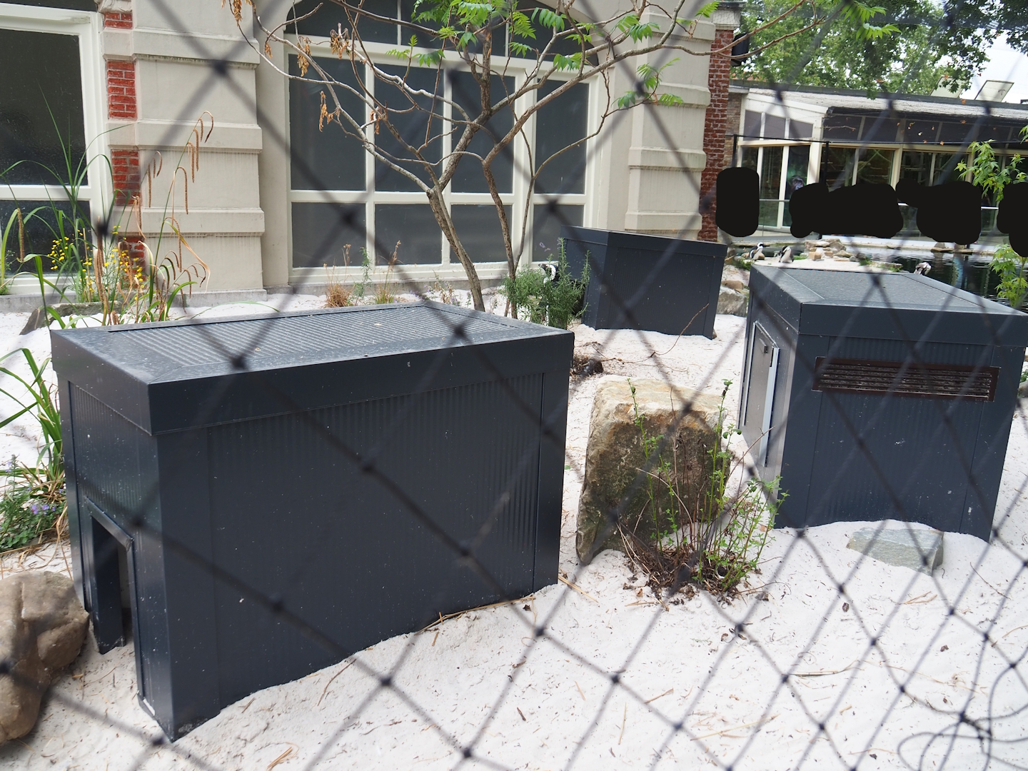 New African penguin nesting boxes, 2023-07-02
