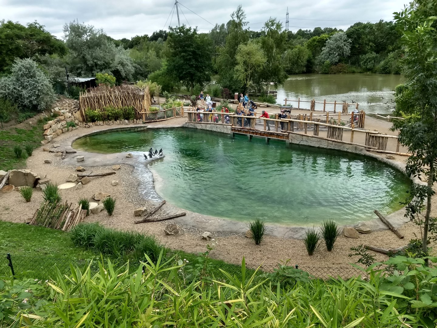 New African pinguin enclosure