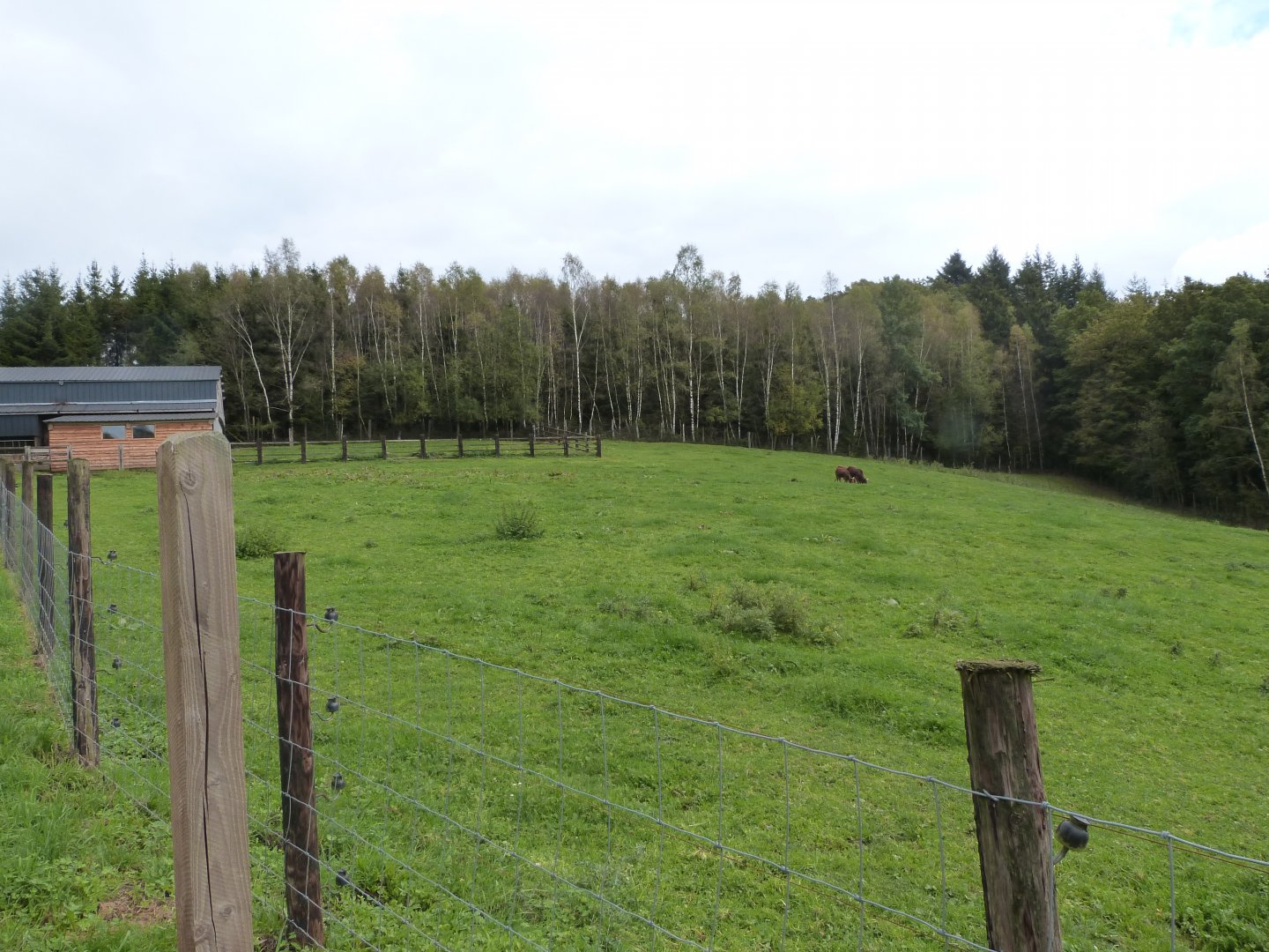 New African plain - Parc animalier de Bouillon