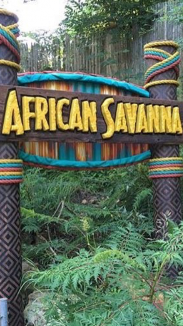 New African savanna sign