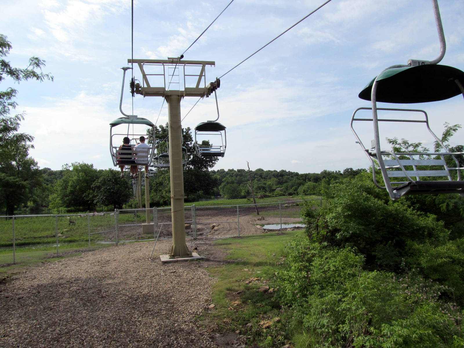 New African Sky Safari