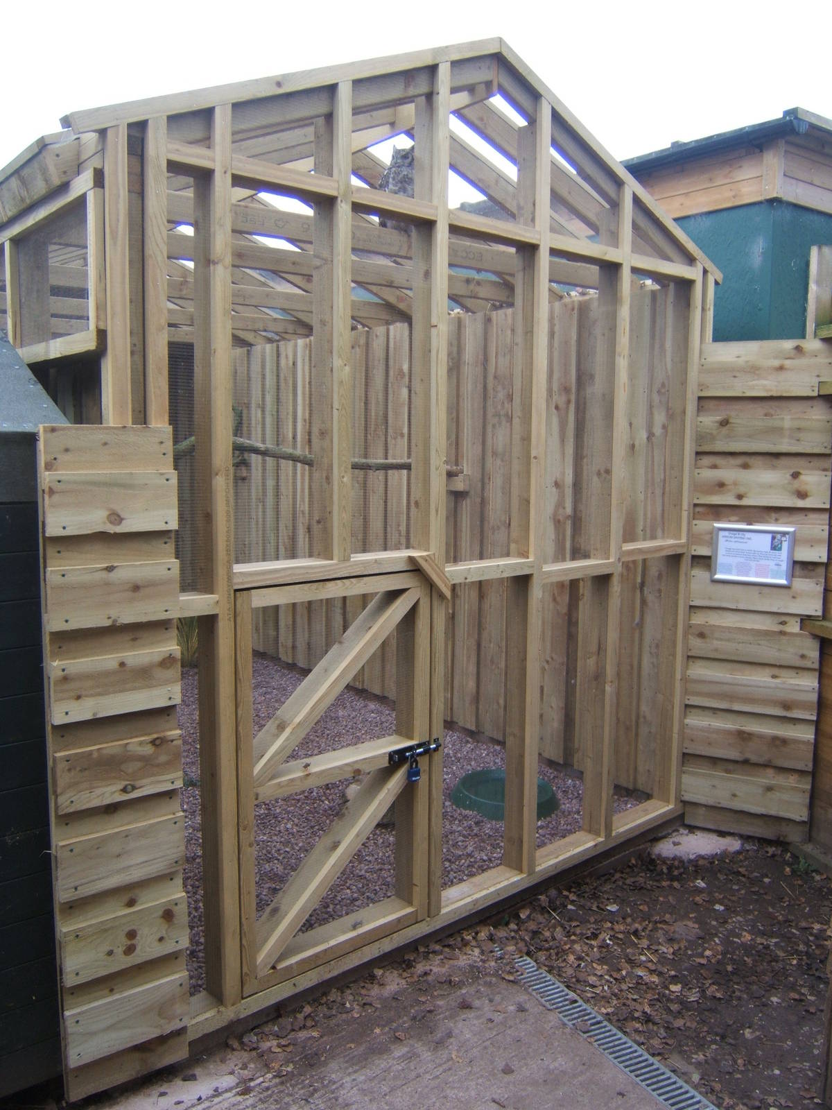 New African Spotted Owl Aviary