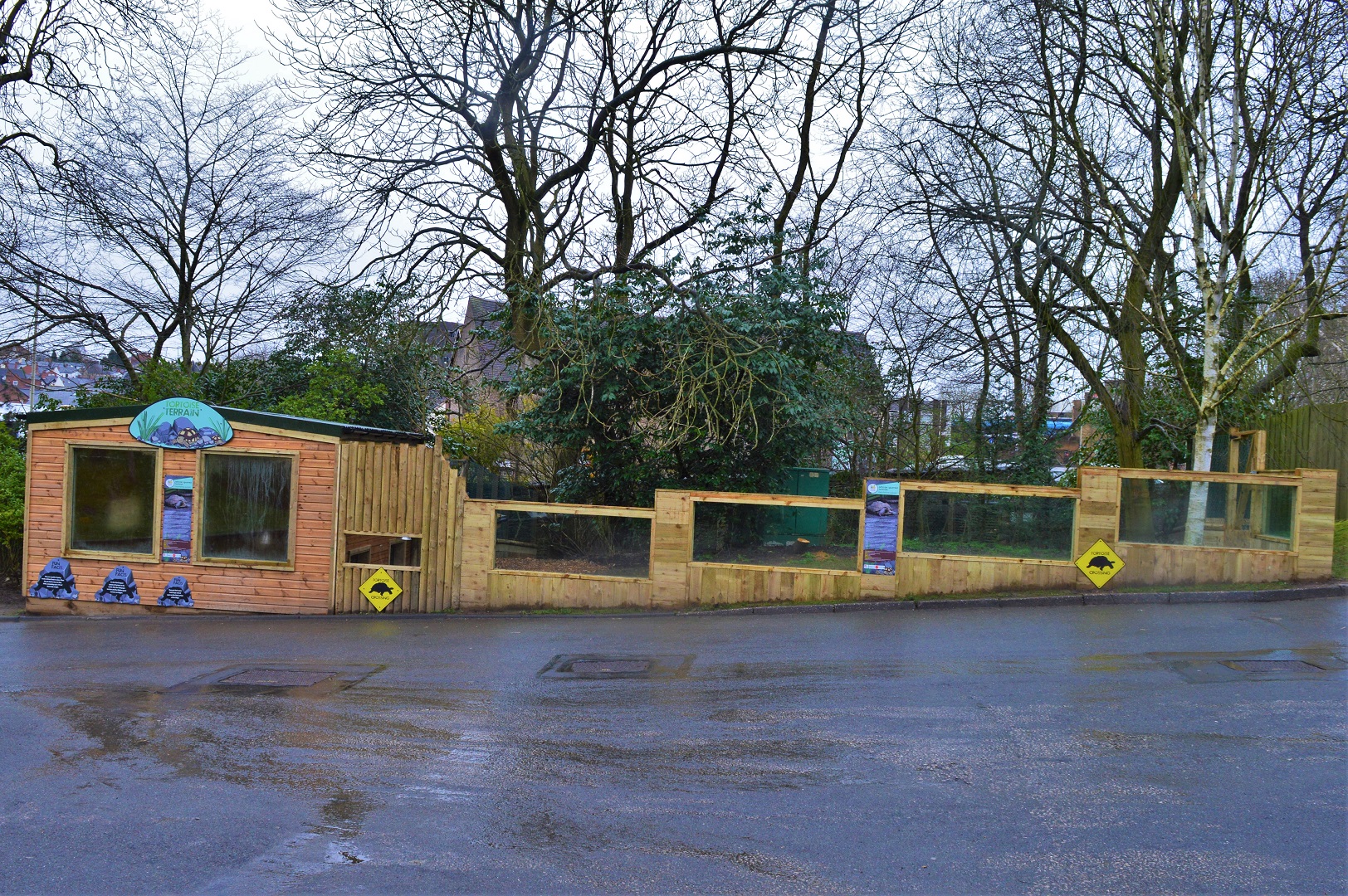 New African spurred tortoise enclosure