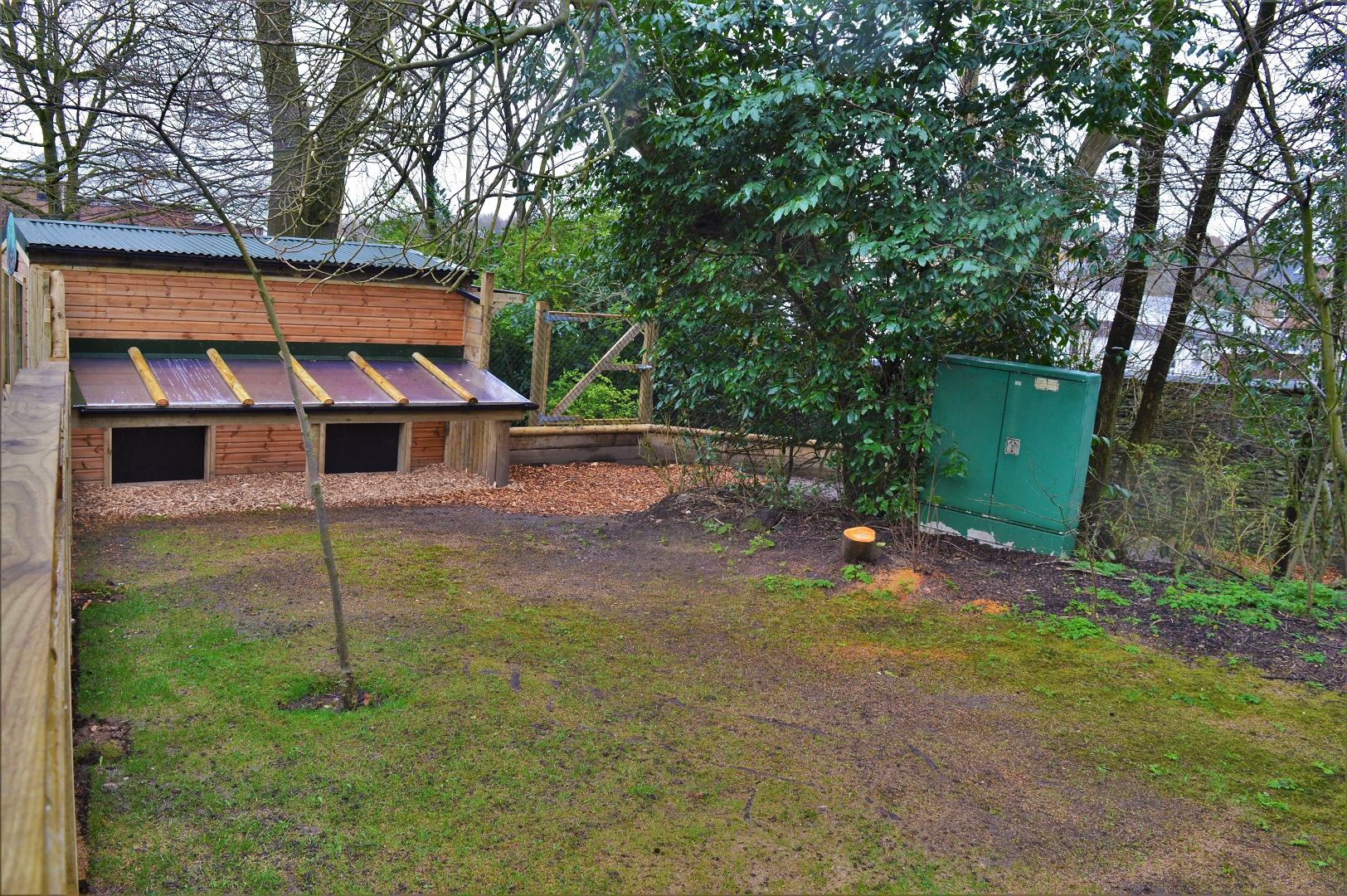 New African spurred tortoise enclosure
