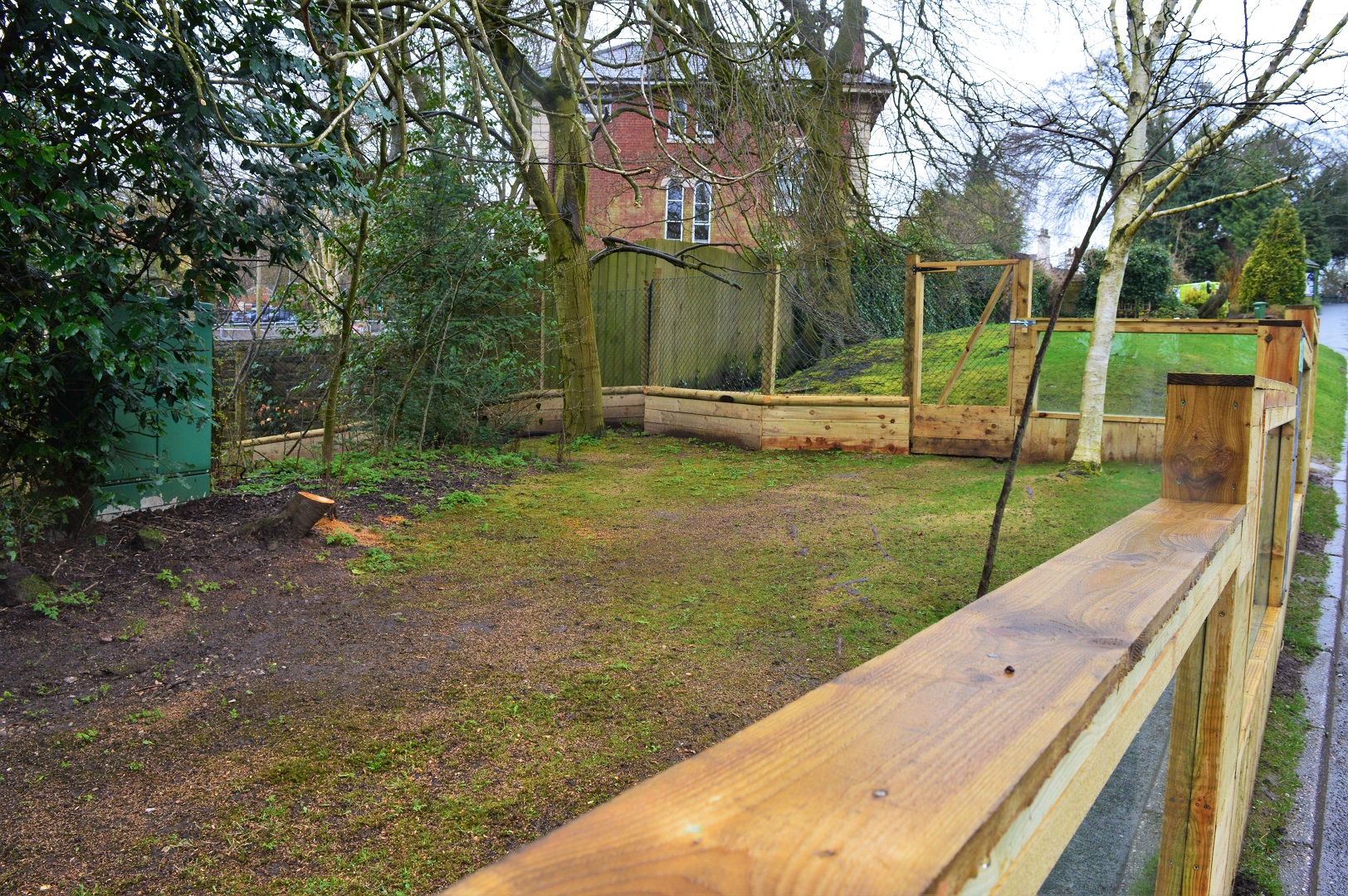 New African spurred tortoise enclosure