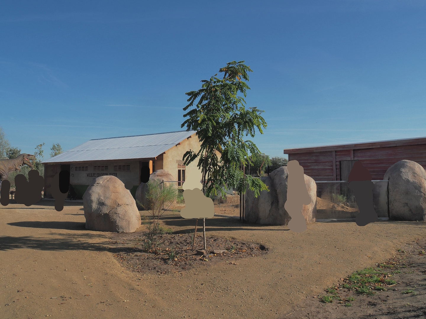 New African wild dog viewing area and new meerkat exhibit, 2022-10-09