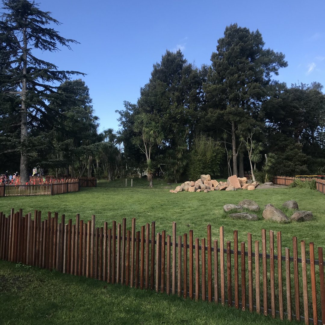 New Aldabran Tortoise enclosure