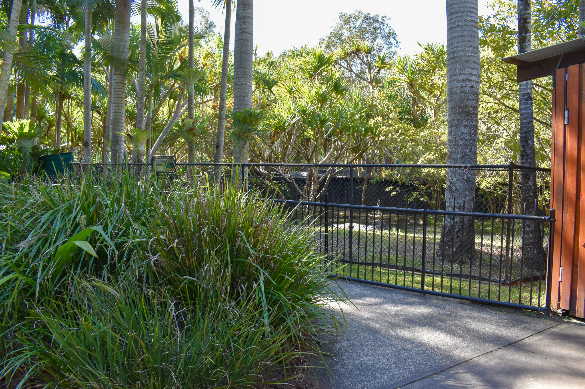 New Alligator Enclosure