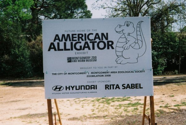 New Alligator Exhibit Sign