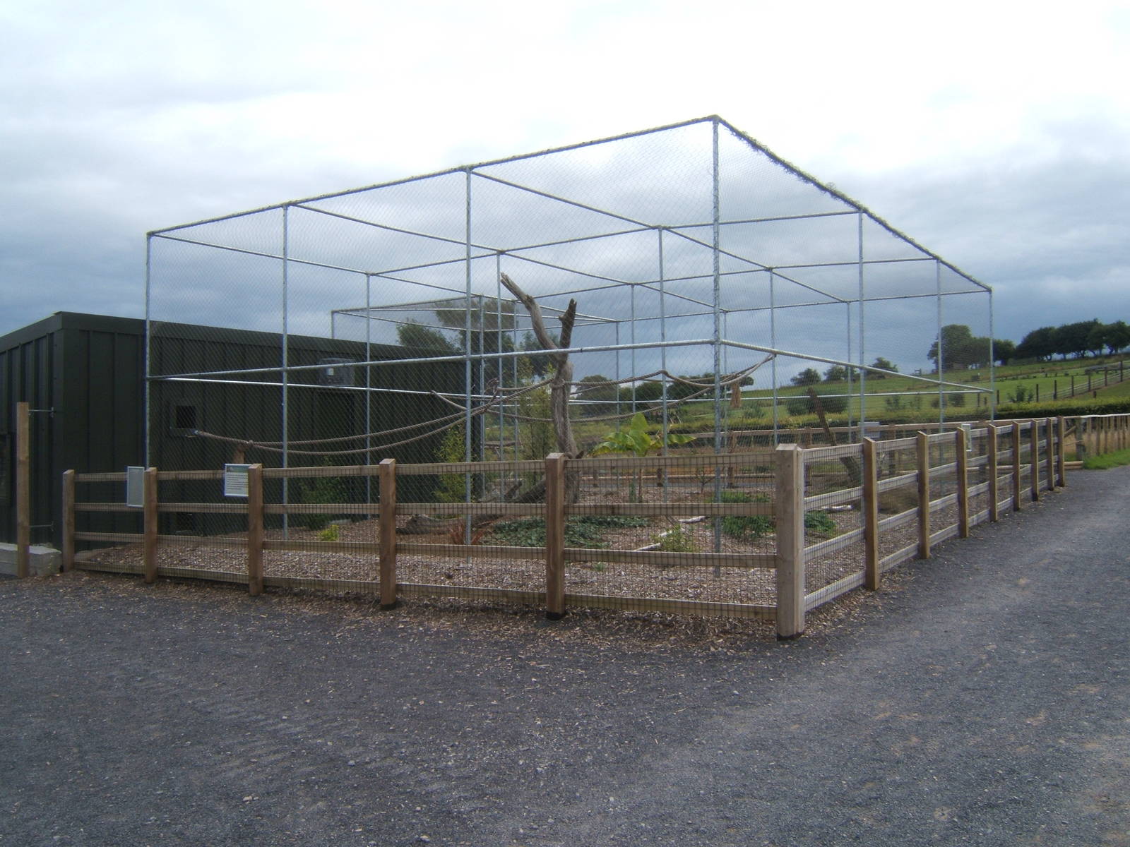 New Amazon and Macaw complex