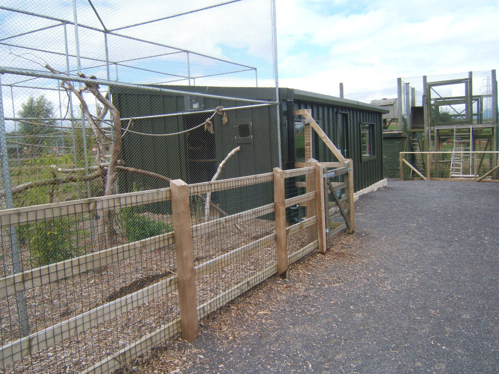 New Amazon and Macaw complex