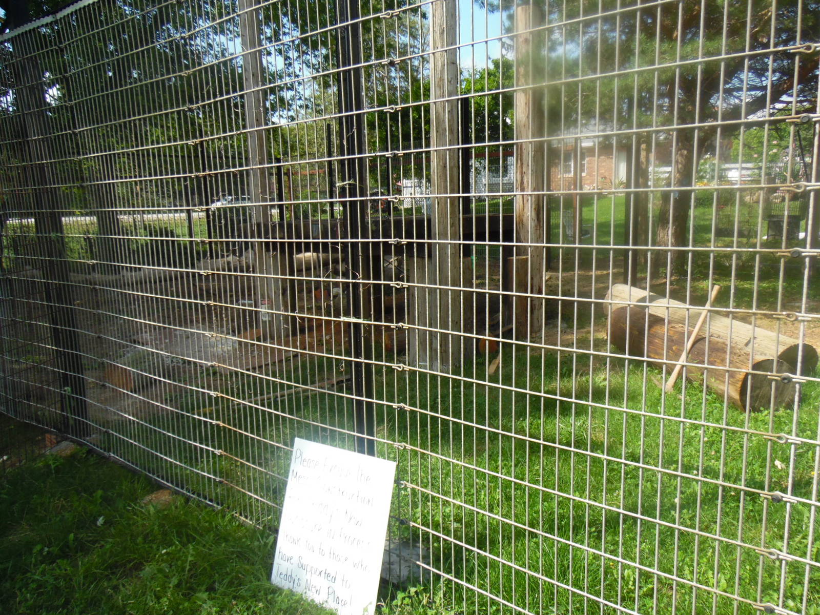 New American Black Bear Exhibit