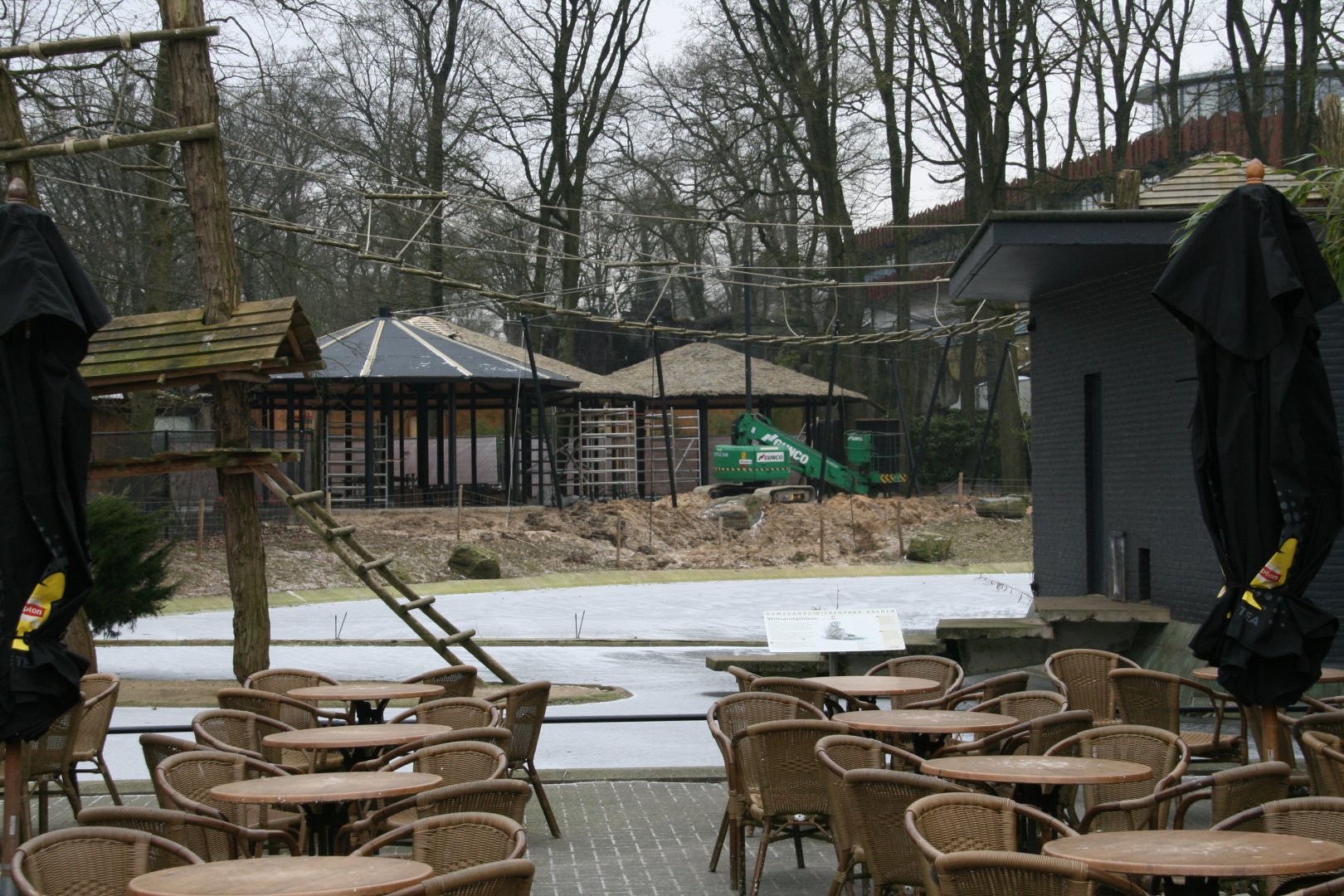 new American flamingo exhibit under constuction
