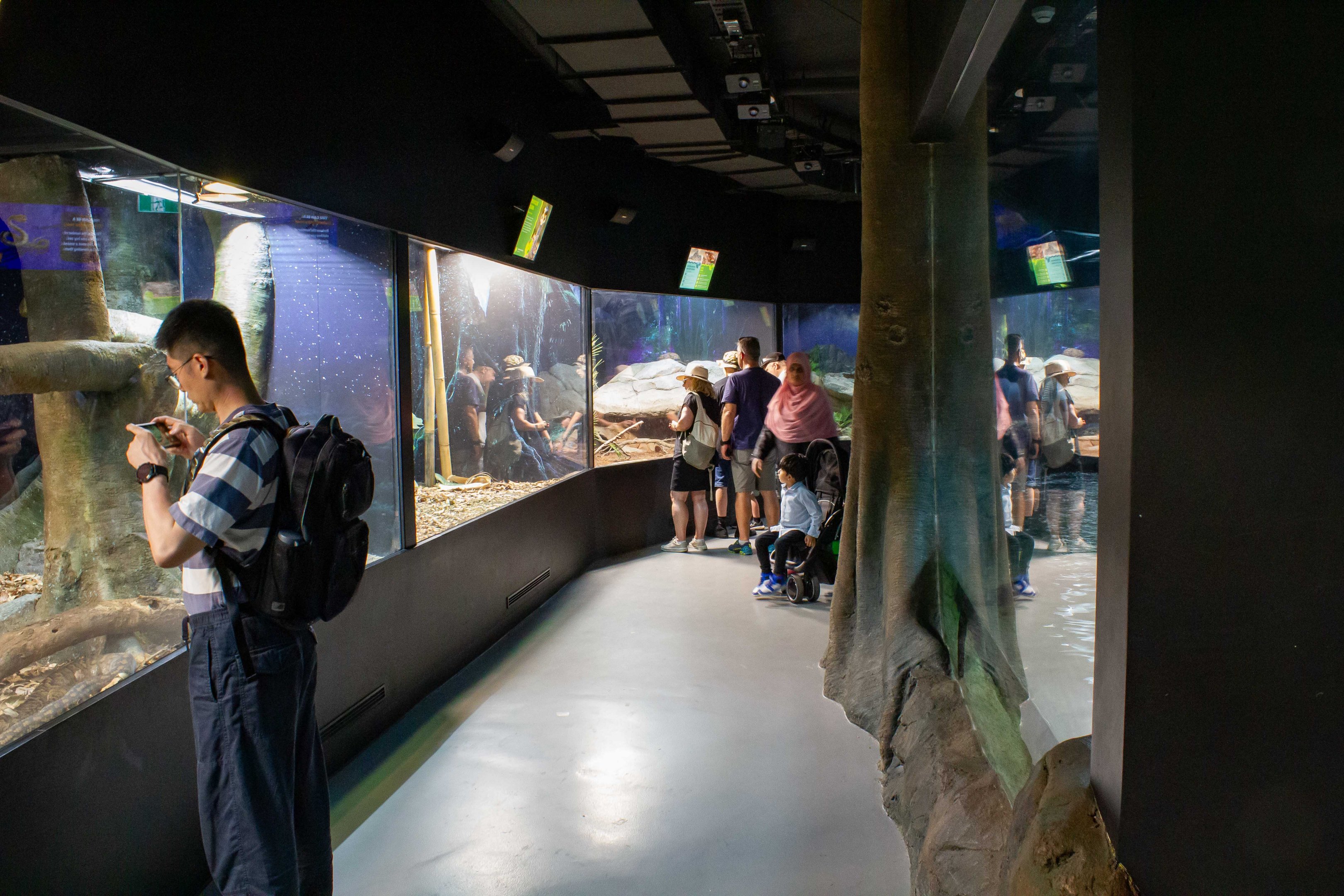 New Amphibian and Reptile Conservation Centre