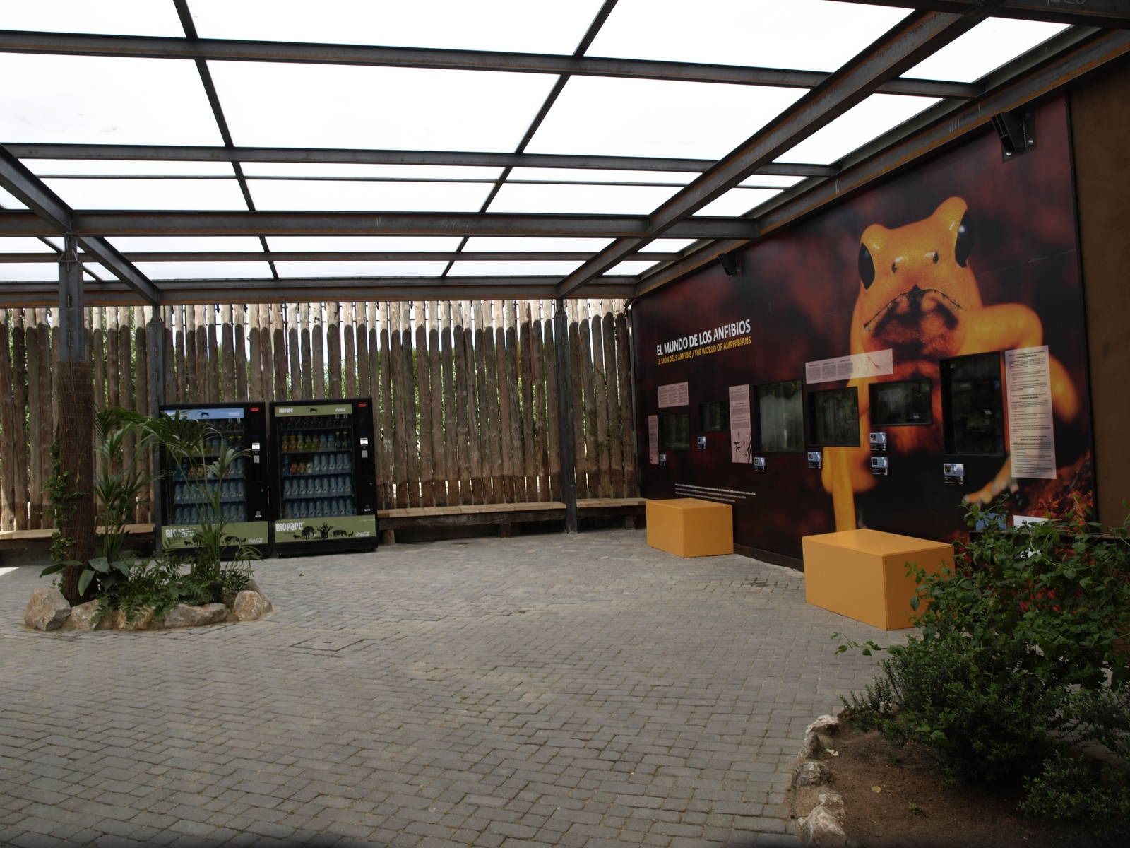 New amphibians exhibit for 8 species.