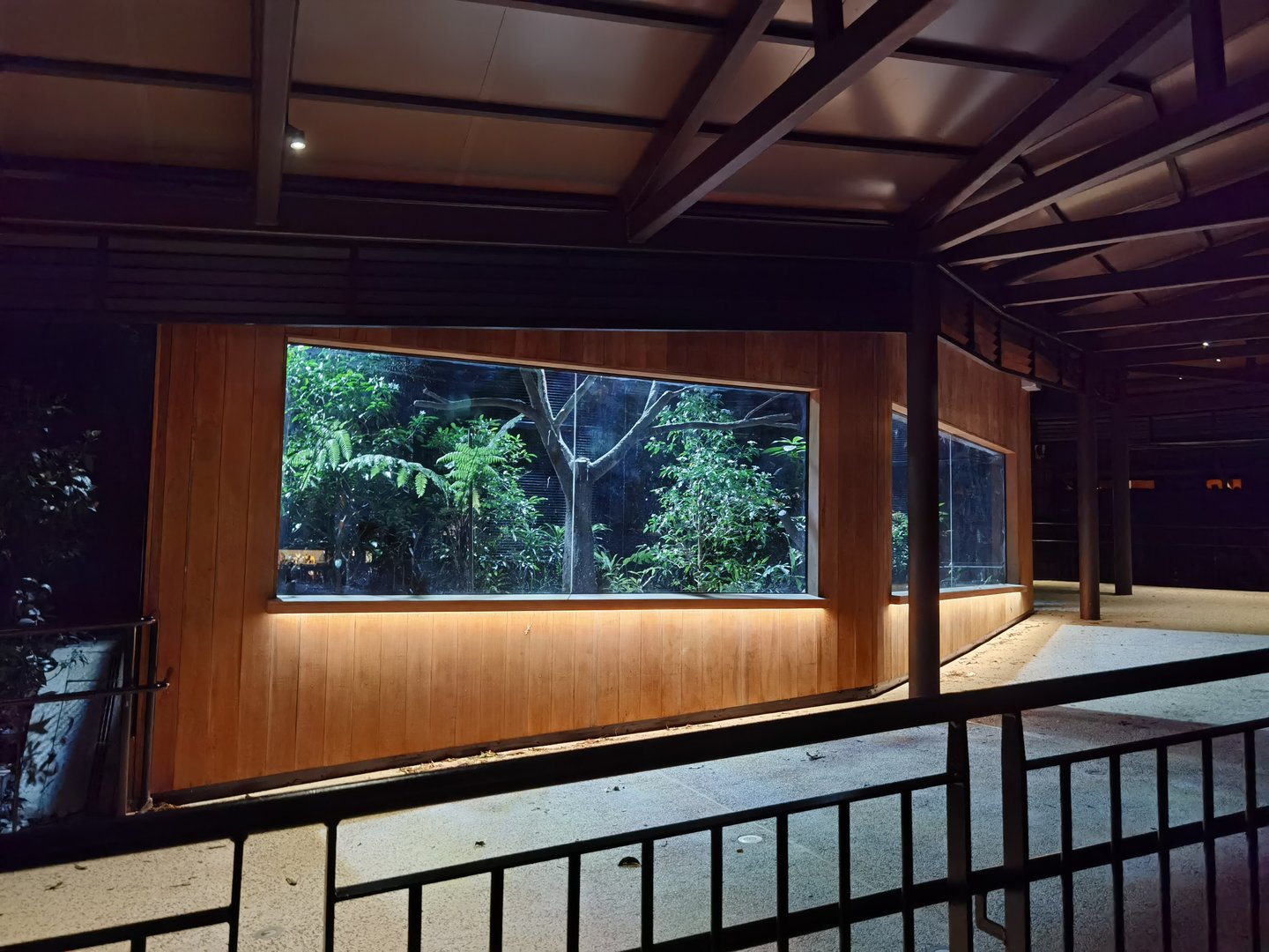 New amphitheater exhibit