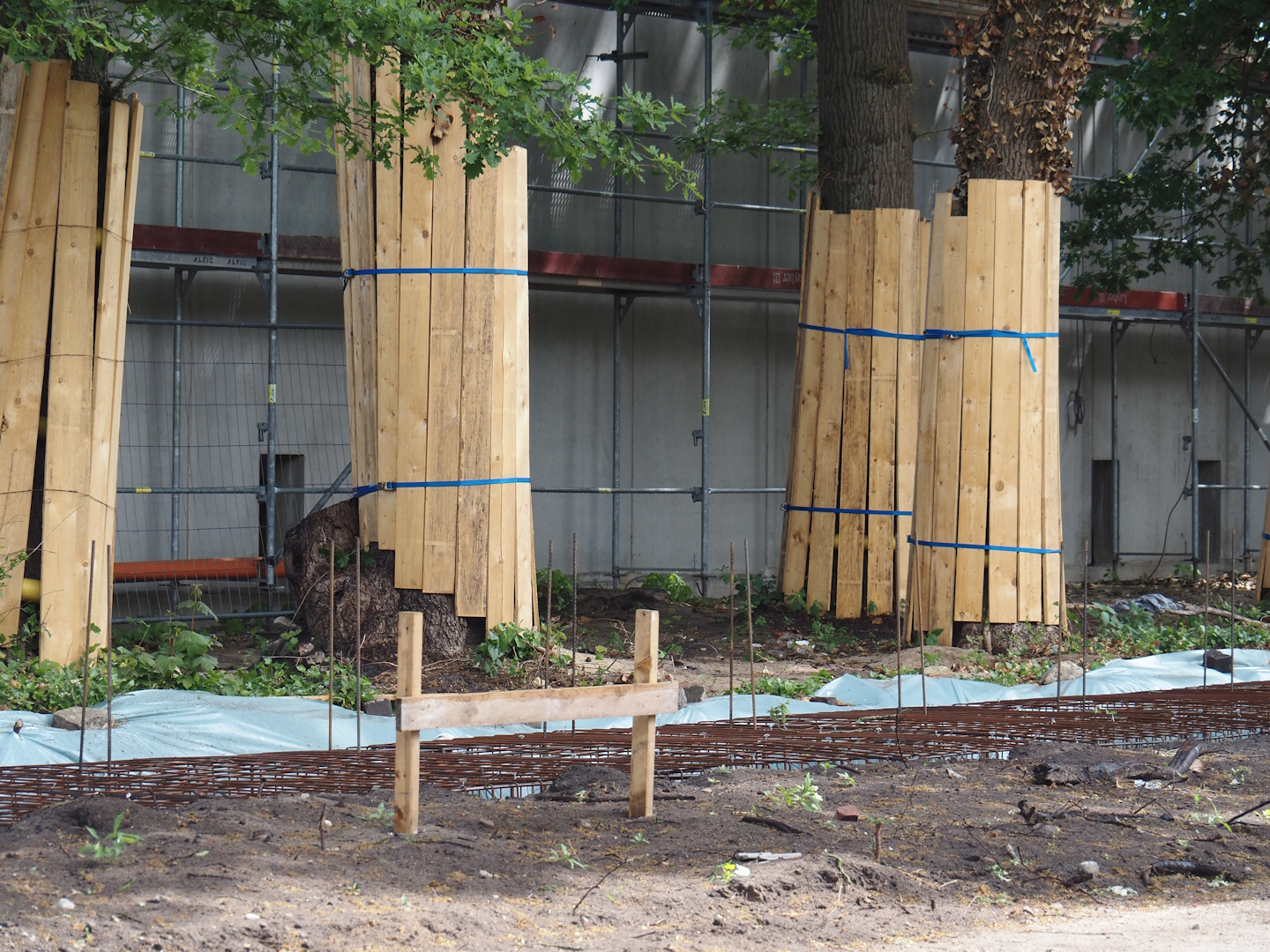 New Amur leopard exhibit construction, 2025-05-23