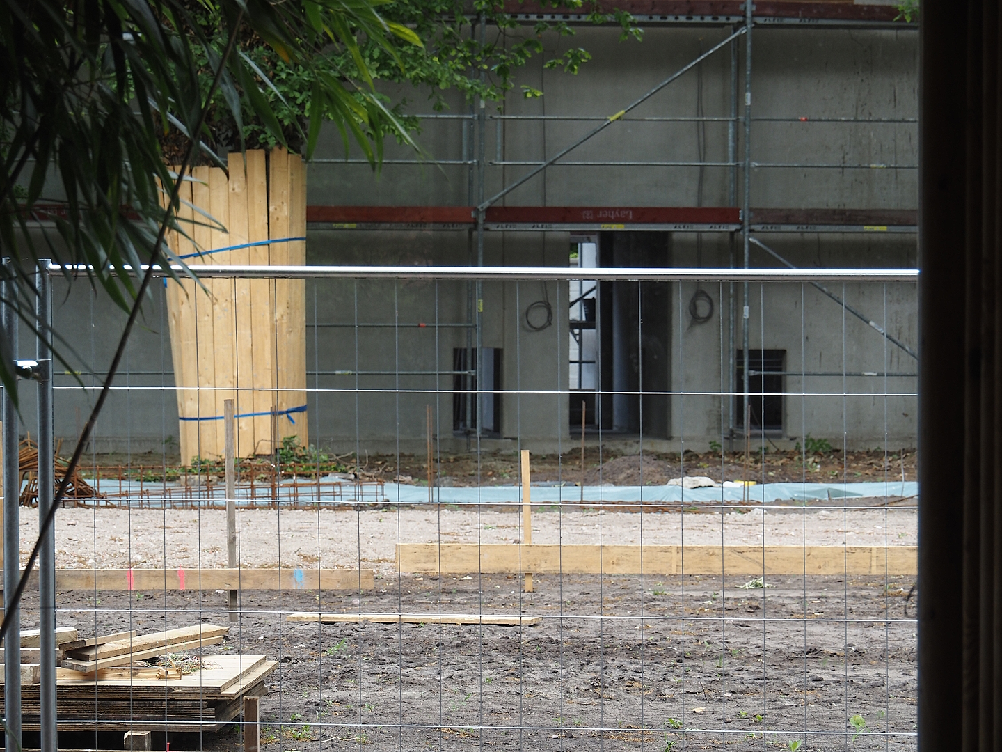 New Amur leopard exhibit construction, 2025-05-23