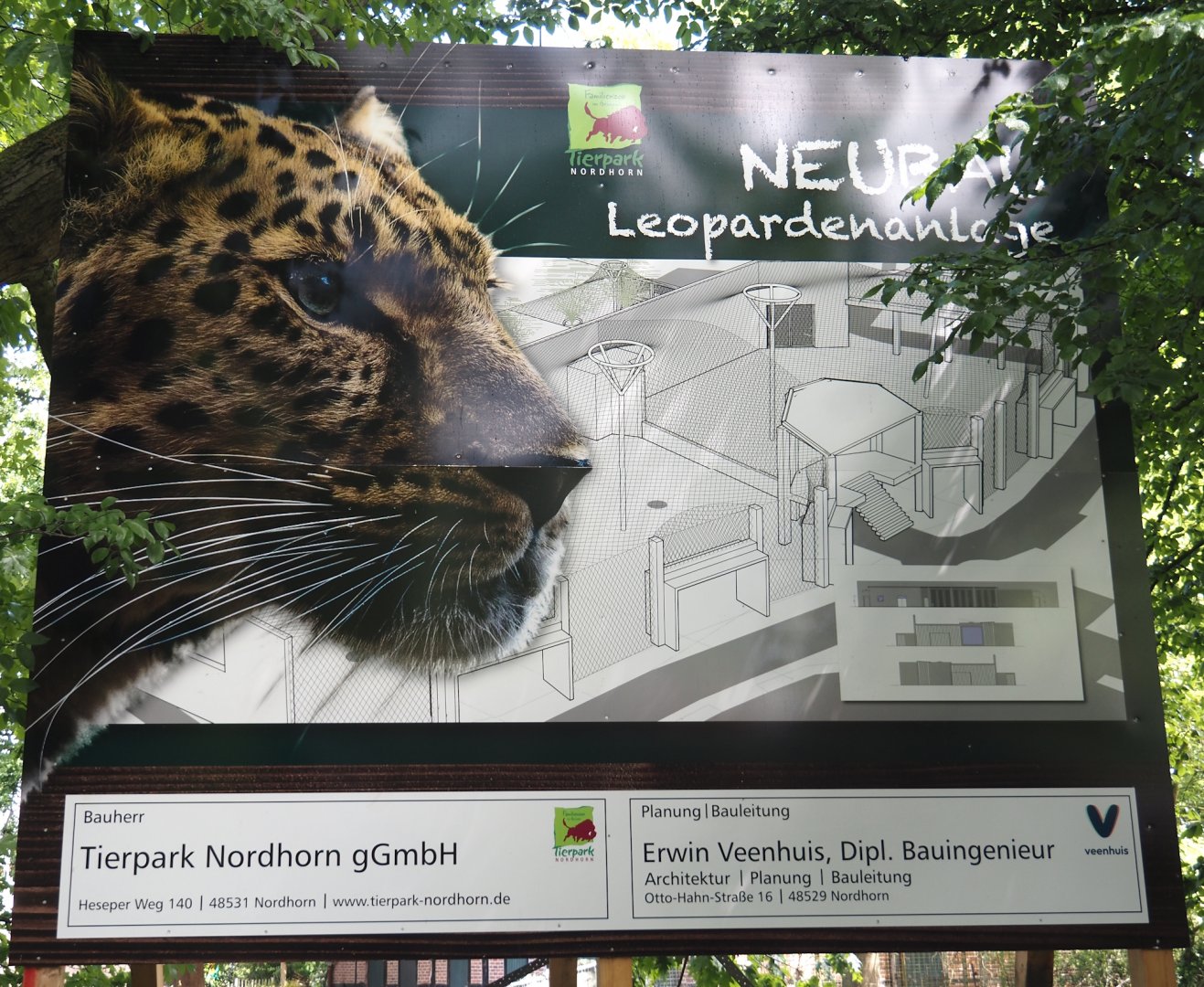 New Amur leopard exhibit construction - Signage with design, 2025-05-23