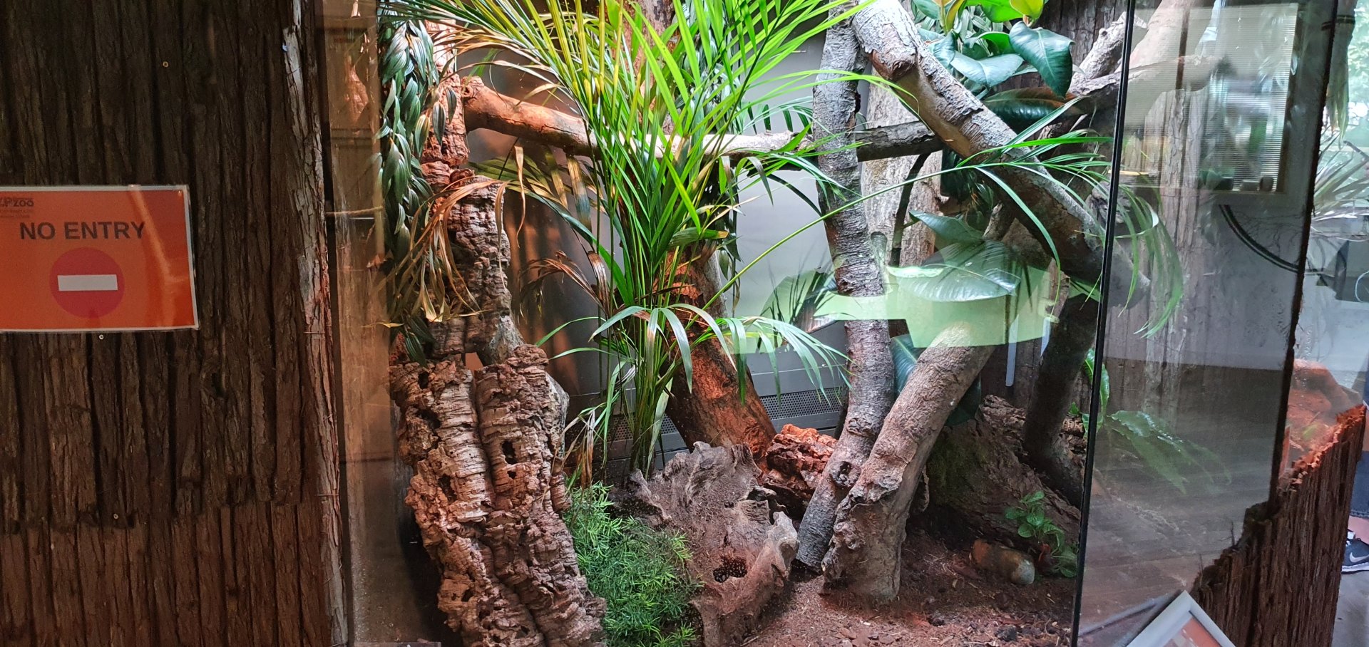 New and improved reptile enclosure at dartmoor zoo