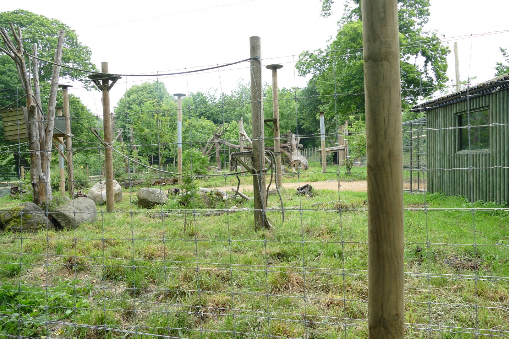 New Andean bear enclosure, June 2018