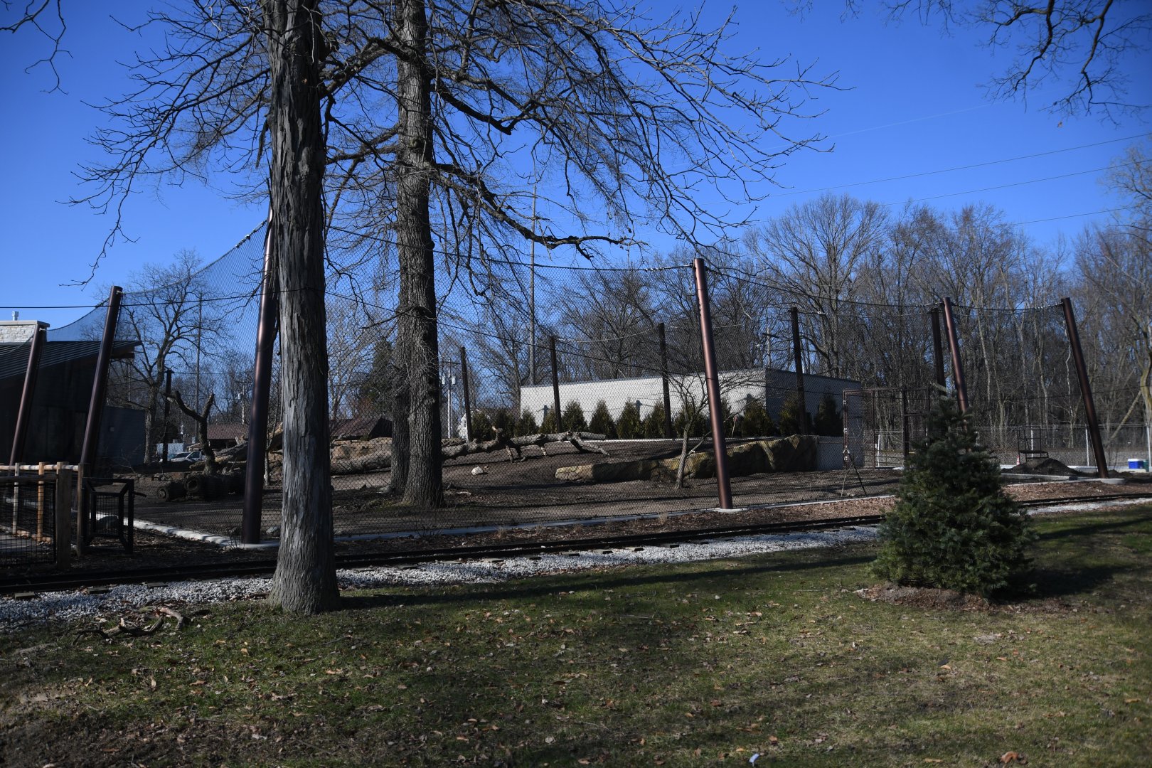 New Andean Bear exhibit, opening spring 2024