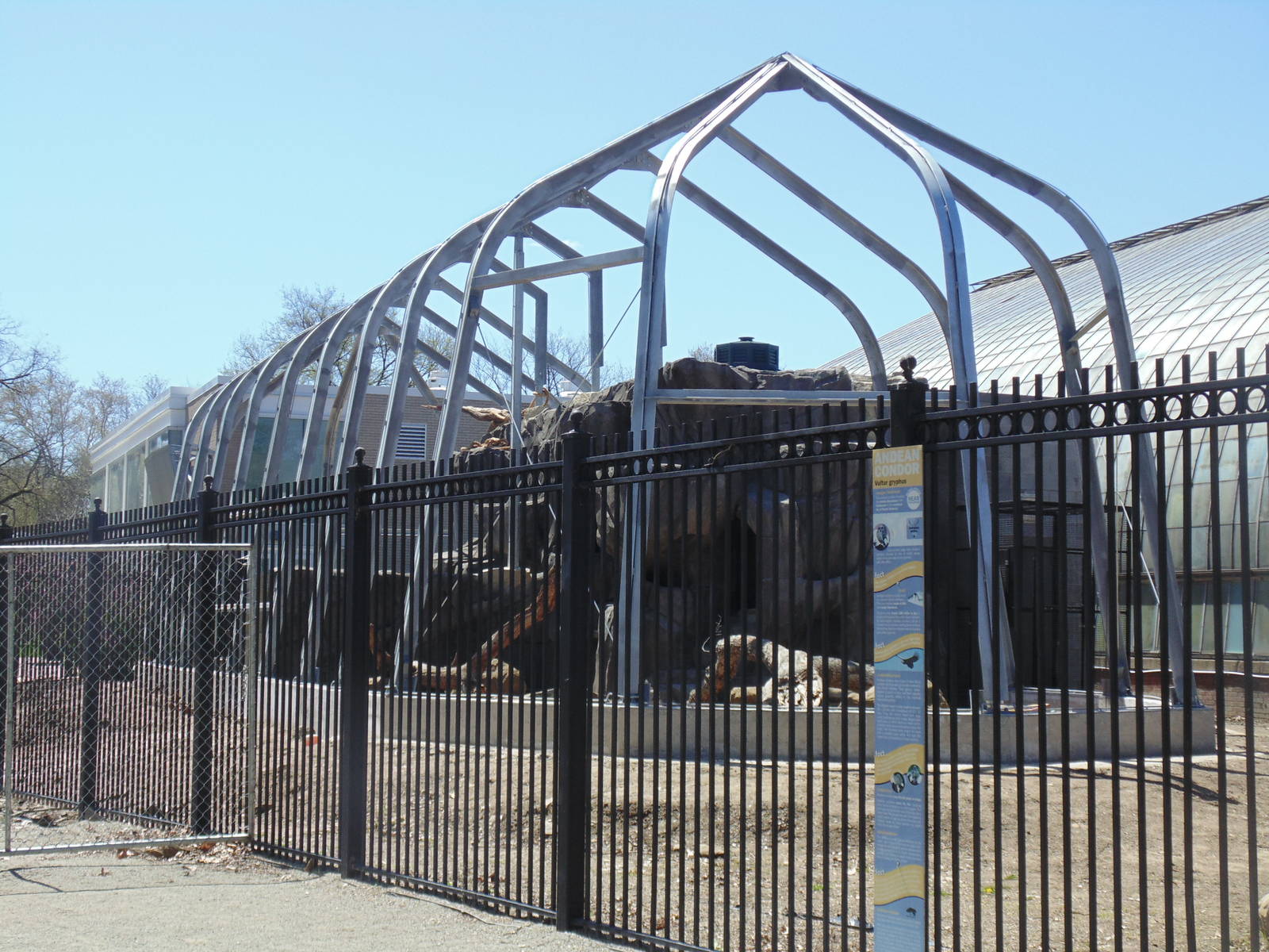 New Andean Condor Exhibit
