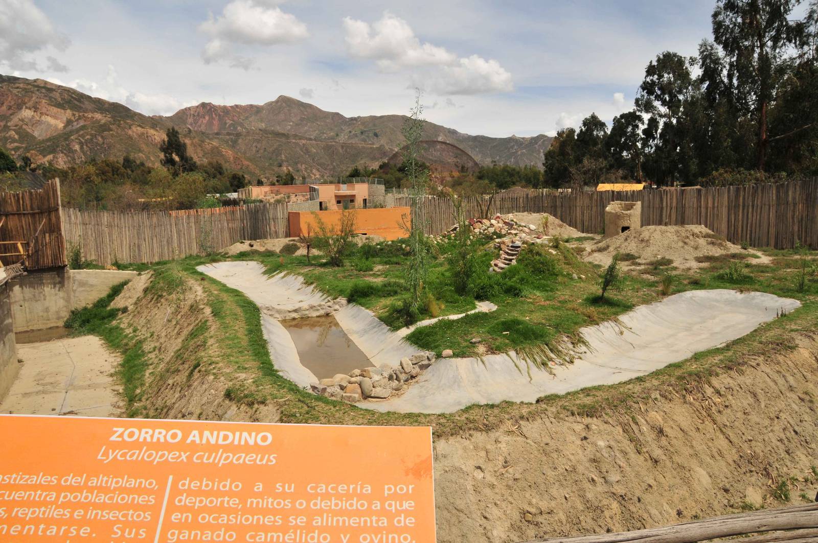 New Andean Fauna Complex