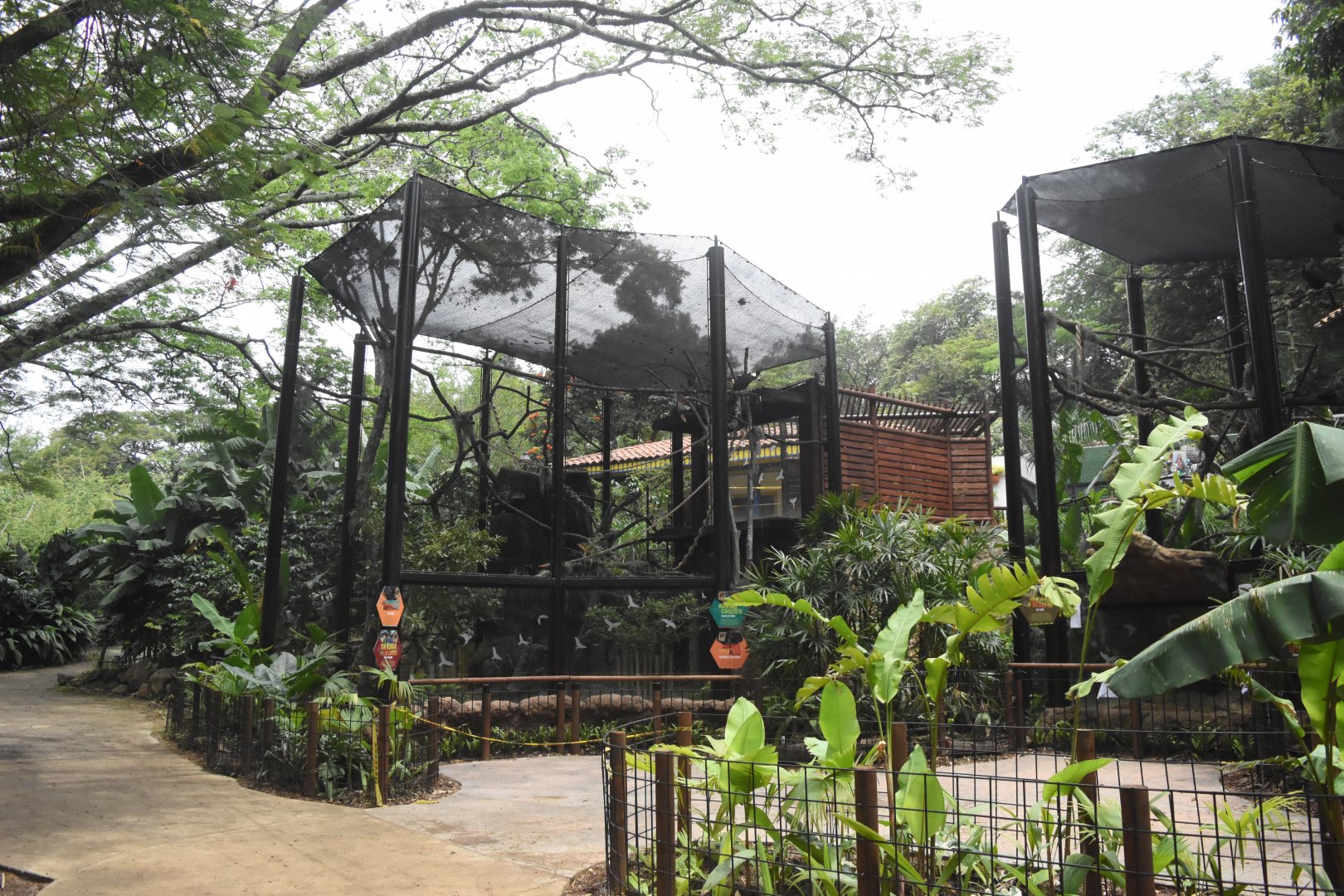 New Andean Mixed Exhibits