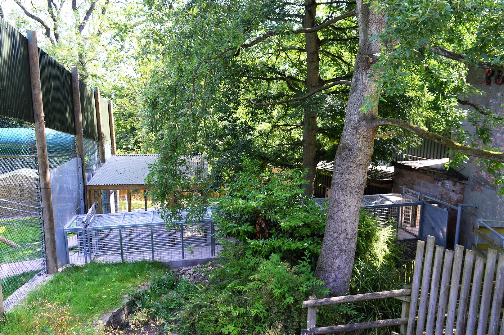 New animal access tunnel