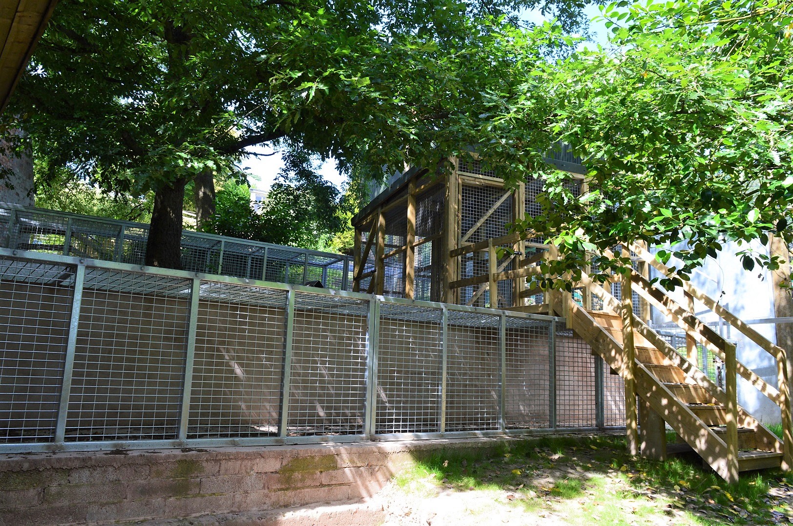 New animal access tunnels and steps to keeper access door.