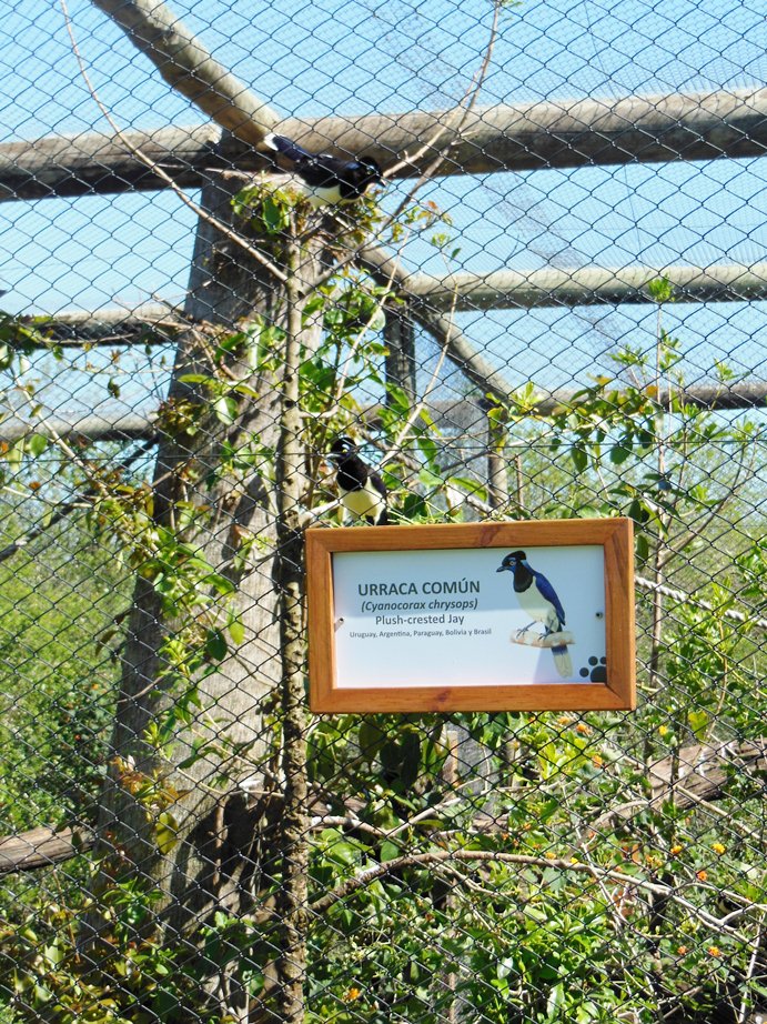 New Animal Identification Signs