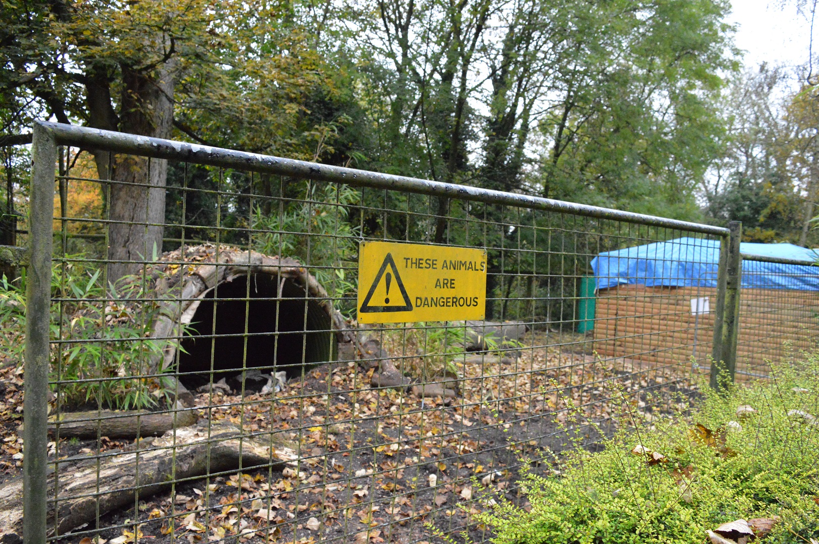 New anteater enclosure under construction