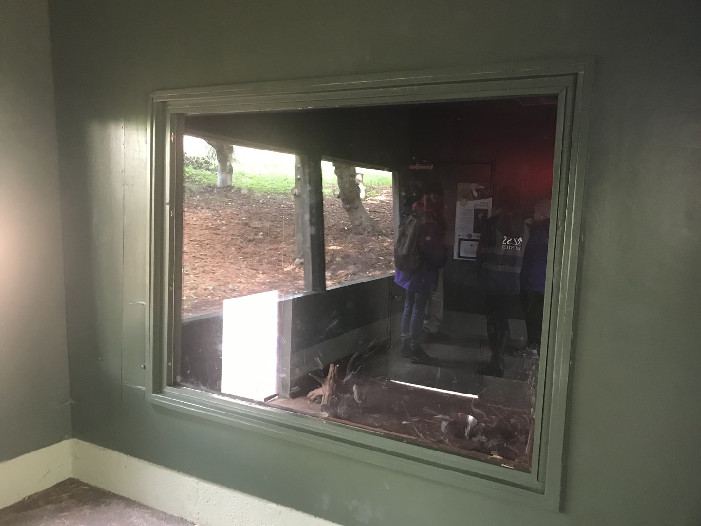 New anteater indoor viewing area