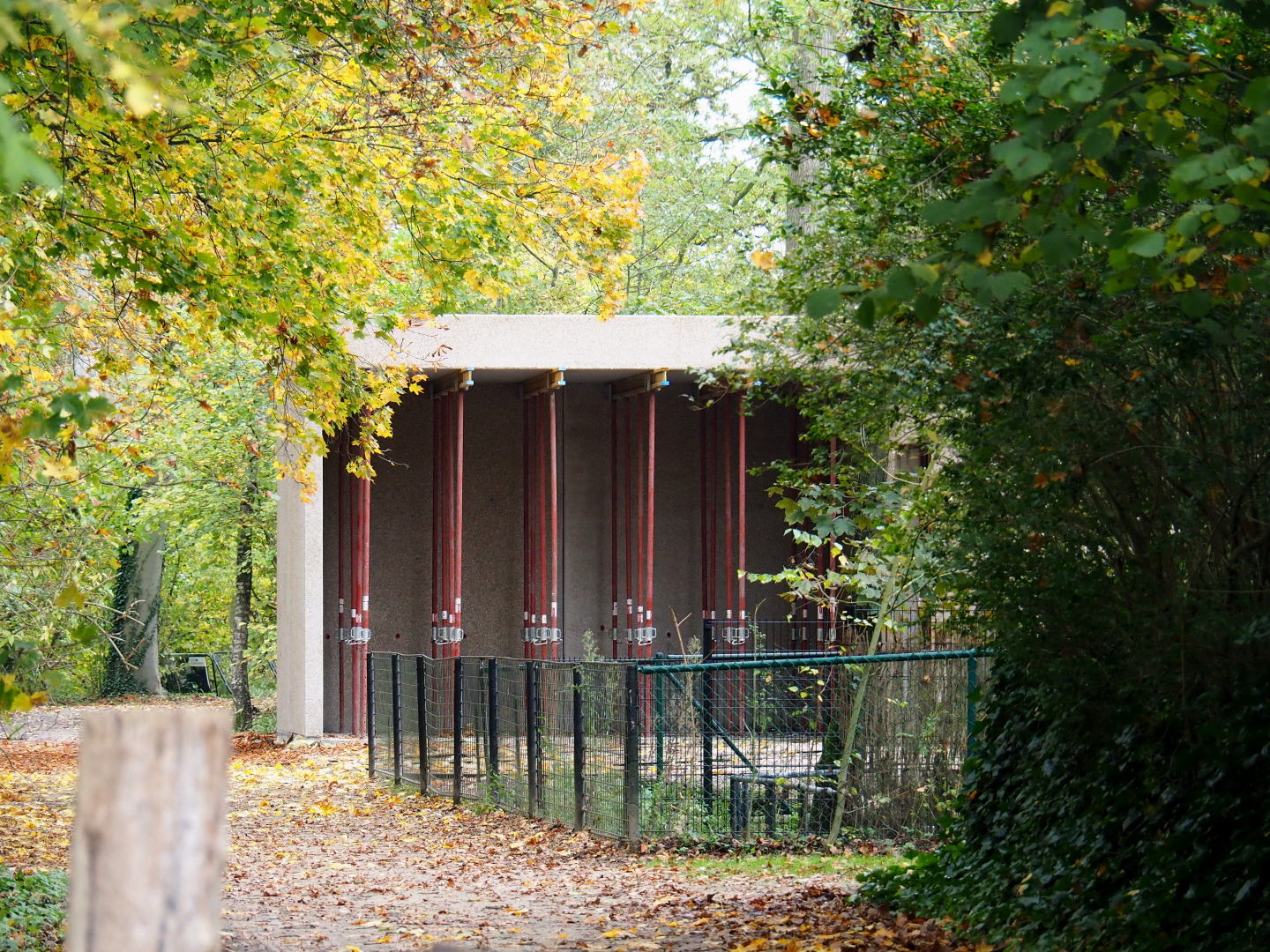 New antelope building construction site, 2021-11-06