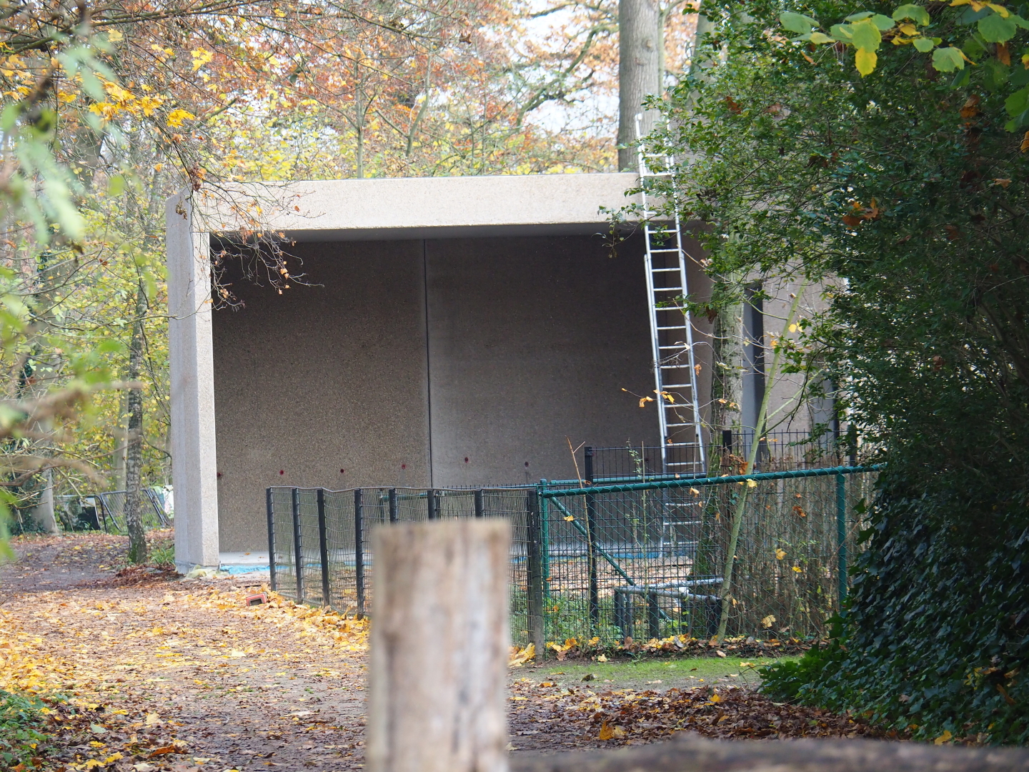 New antelope building construction site, 2021-11-06