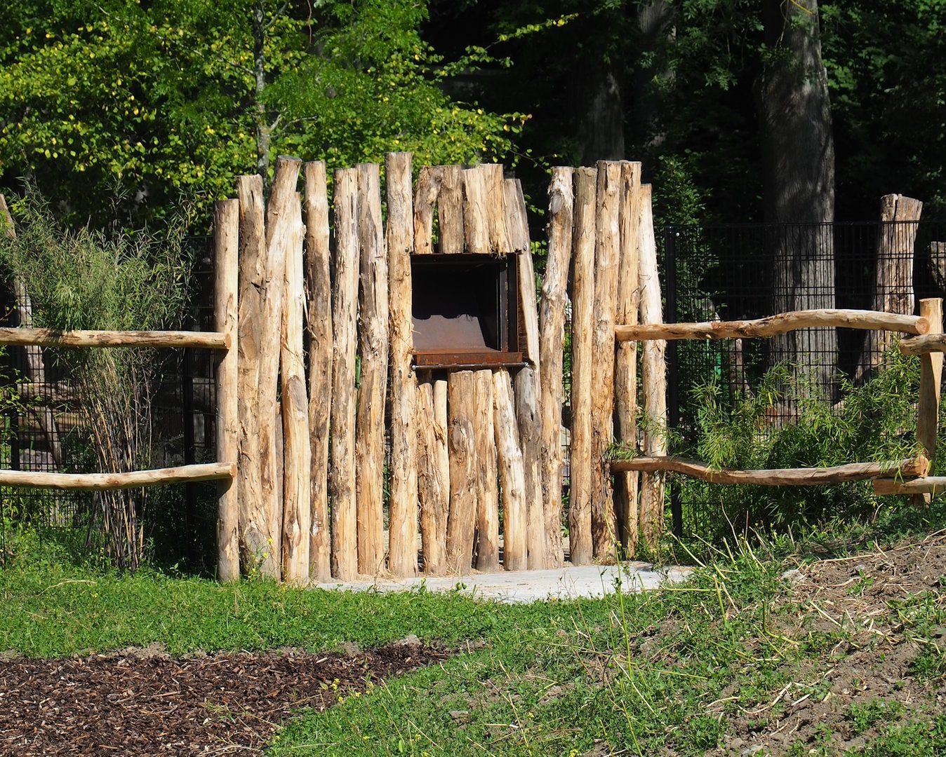 New antelope feeder, 2023-07-19