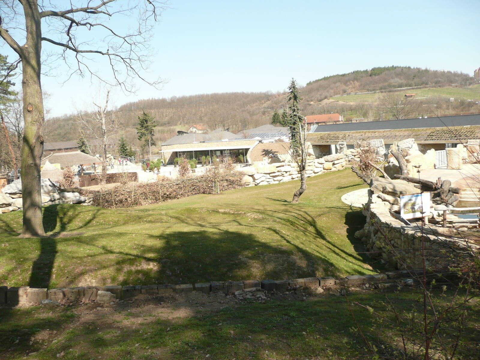 New Antelope paddock