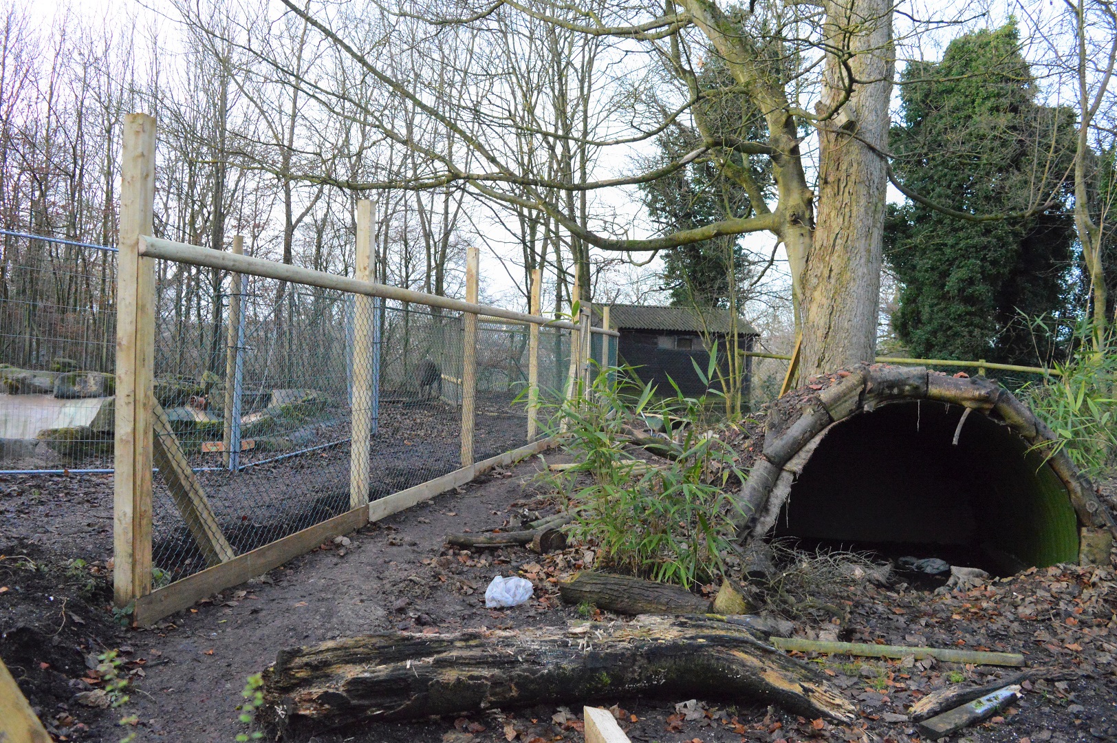 New anti-anteater fencing in new enclosure